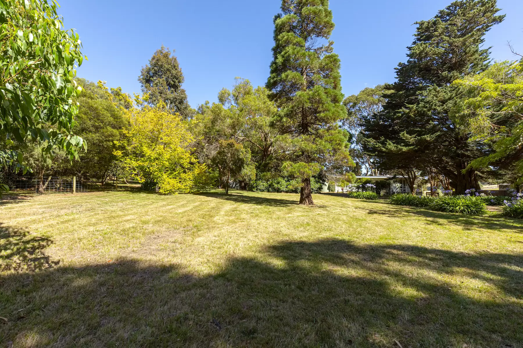 528 Purves Road, Main Ridge Sold by Melbourne Sotheby's International Realty - image 5