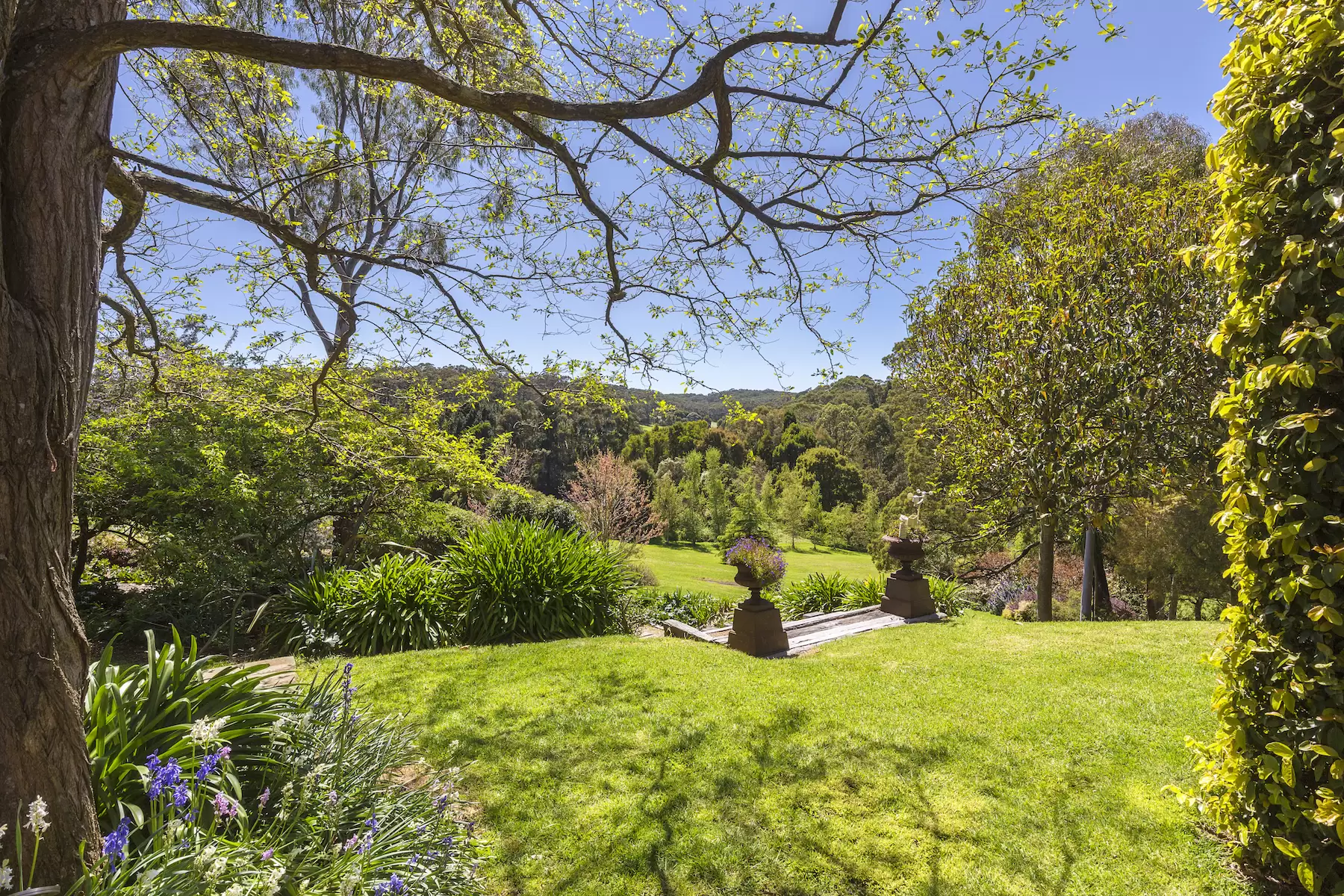 83 Tucks Road, Main Ridge Sold by Melbourne Sotheby's International Realty - image 3