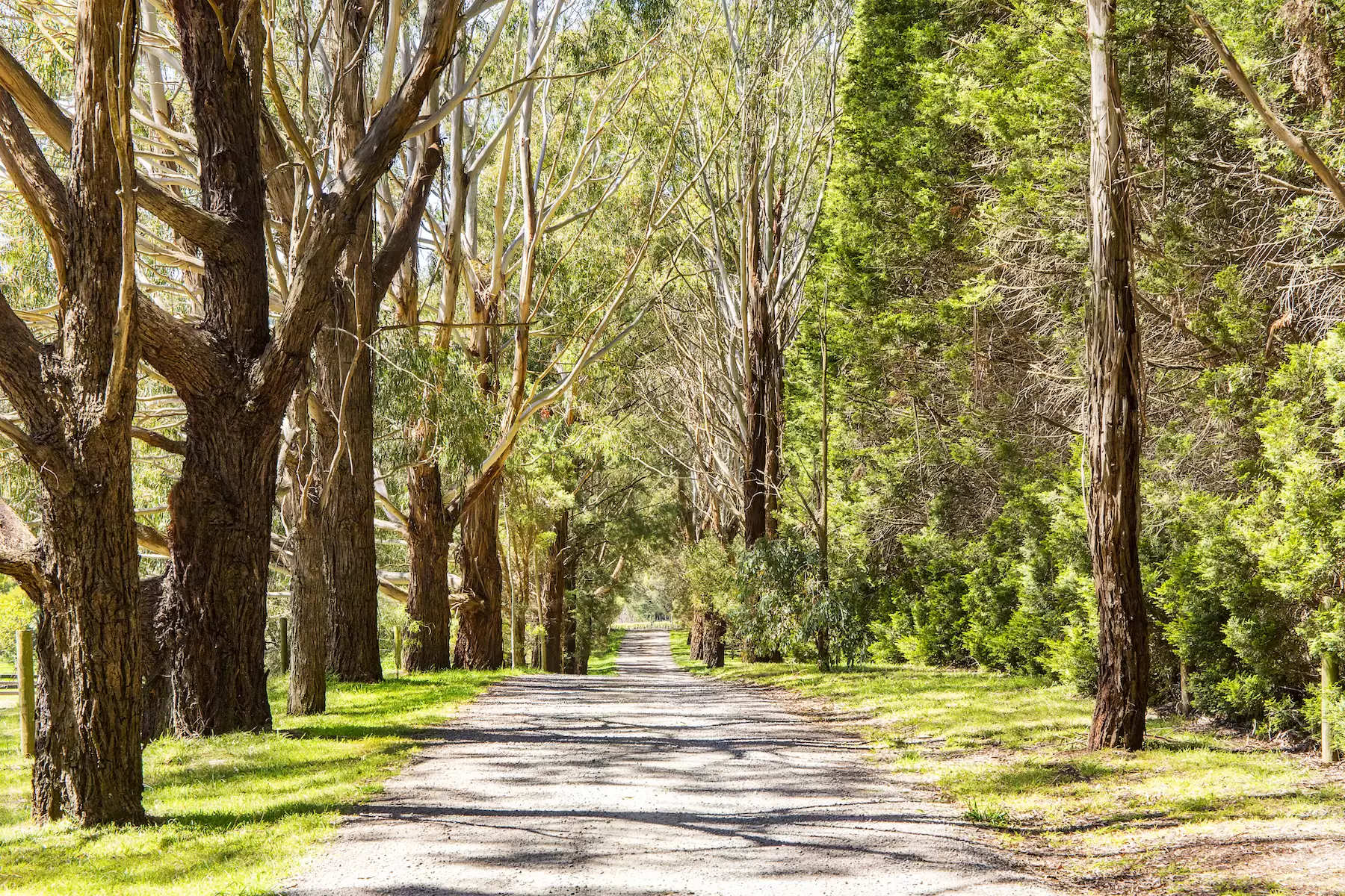 83 Tucks Road, Main Ridge Sold by Melbourne Sotheby's International Realty - image 2