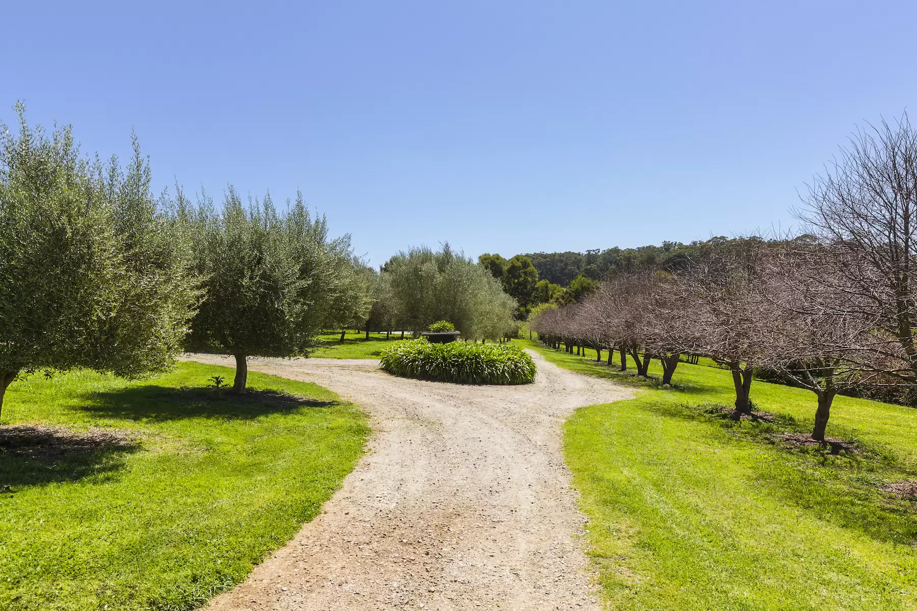 83 Tucks Road, Main Ridge Sold by Melbourne Sotheby's International Realty - image 5