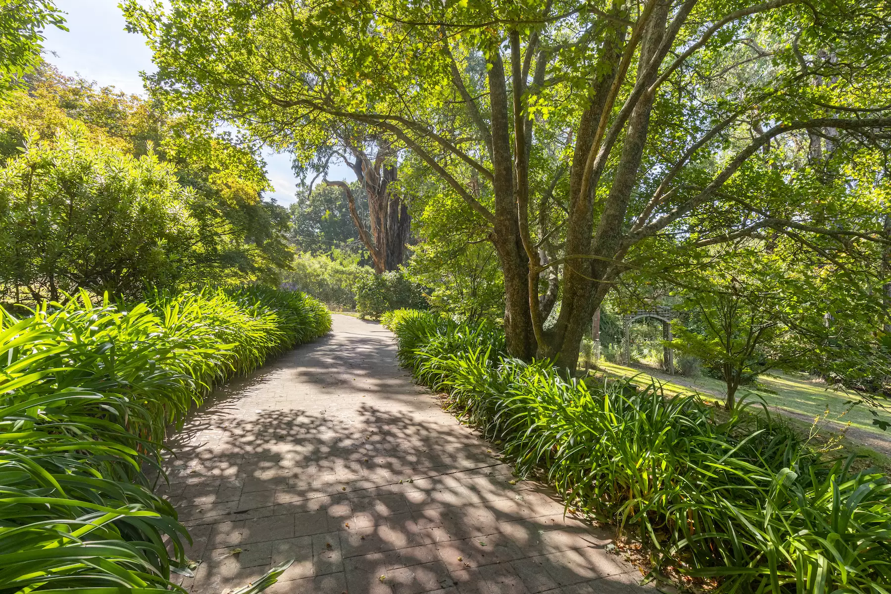 43 Beauford Road, Red Hill South Sold by Melbourne Sotheby's International Realty - image 1