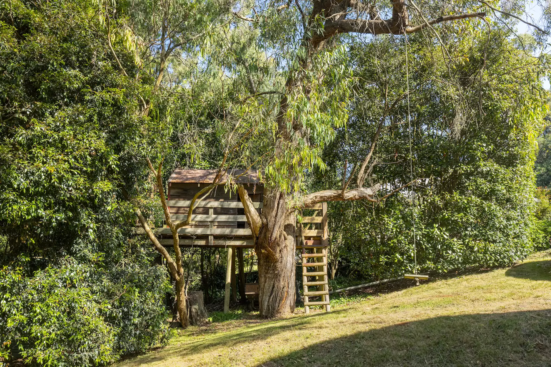 43 Beauford Road, Red Hill South Sold by Melbourne Sotheby's International Realty - image 7