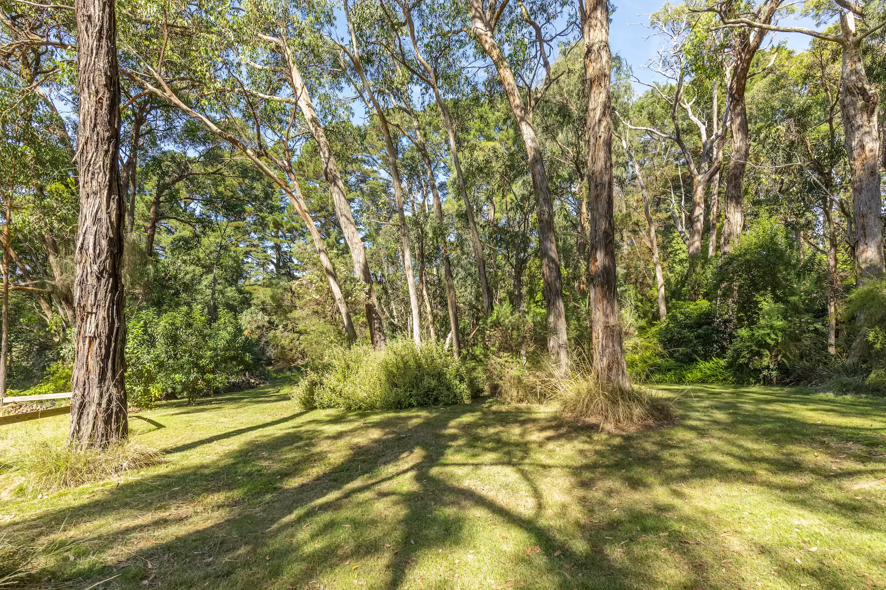 43 Beauford Road, Red Hill South Sold by Melbourne Sotheby's International Realty - image 5