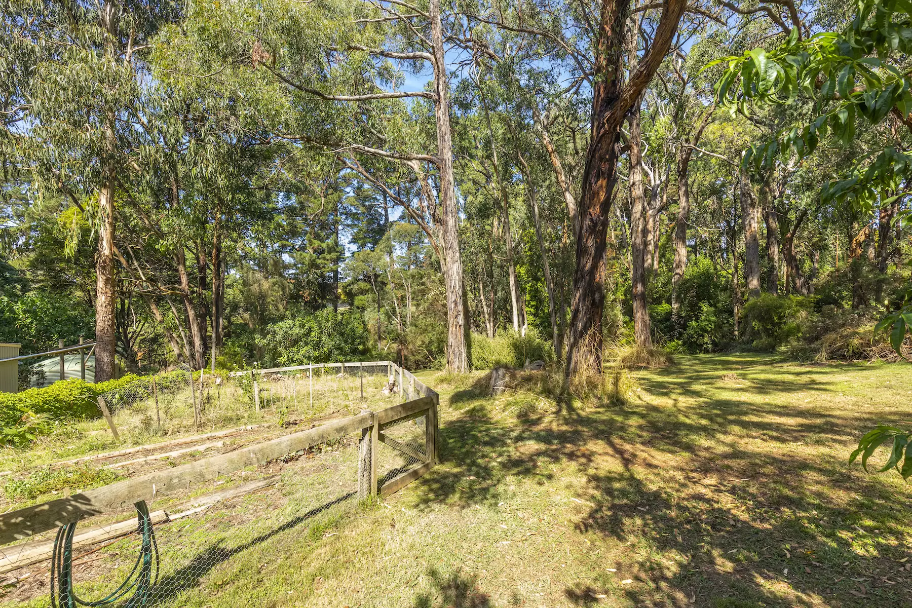 43 Beauford Road, Red Hill South Sold by Melbourne Sotheby's International Realty - image 4