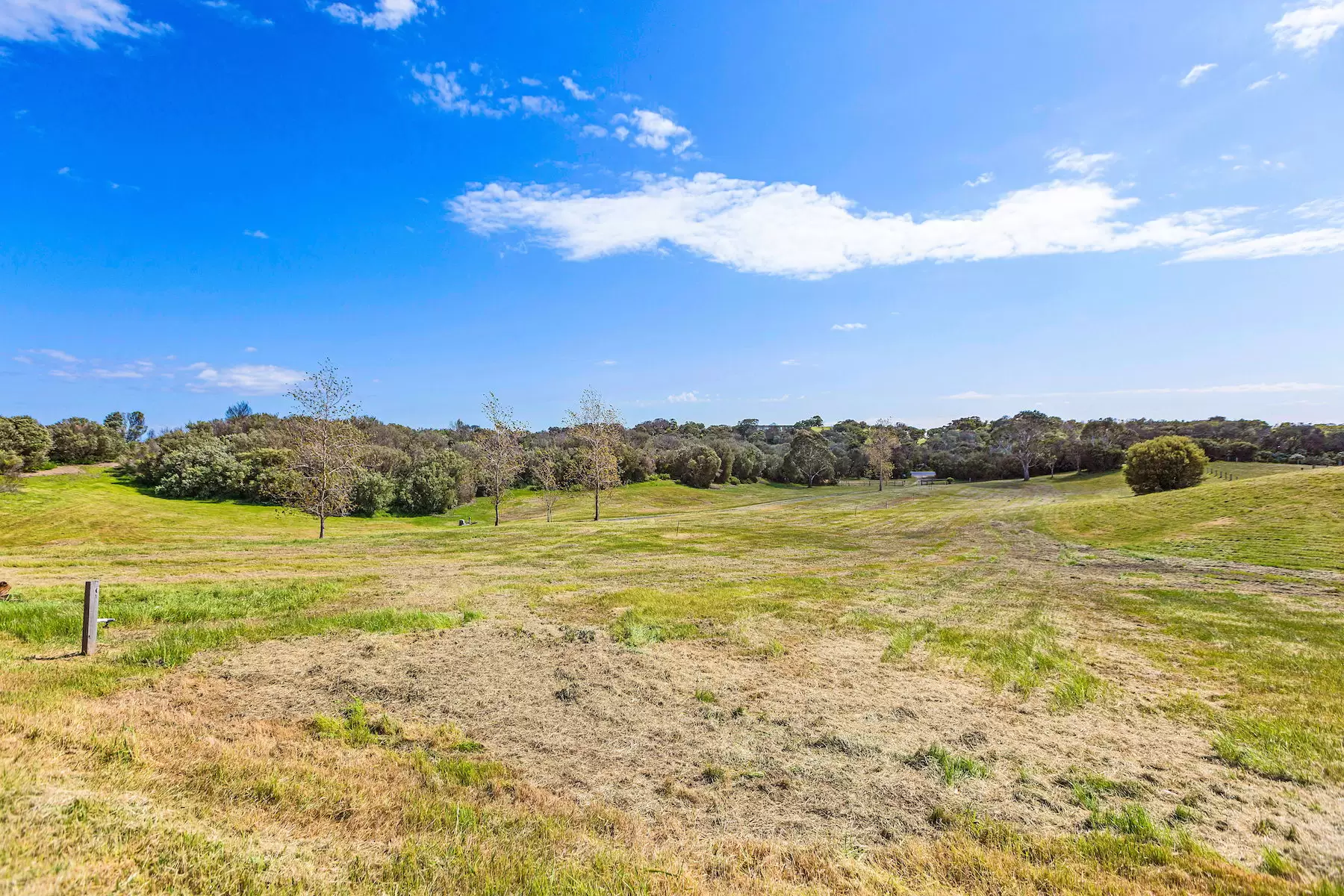 201 Sandy Road, Fingal Sold by Melbourne Sotheby's International Realty - image 5