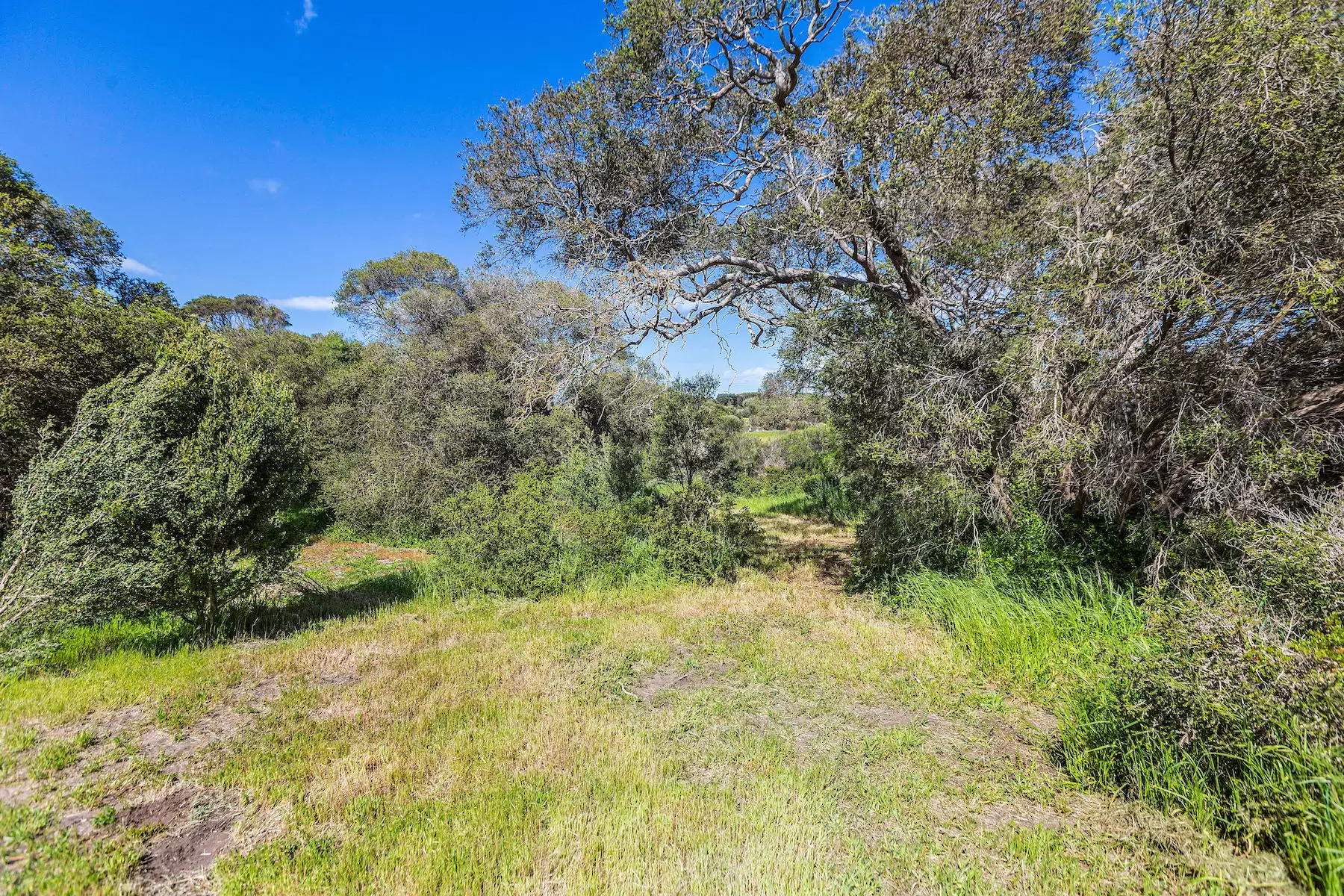 201 Sandy Road, Fingal Sold by Melbourne Sotheby's International Realty - image 6