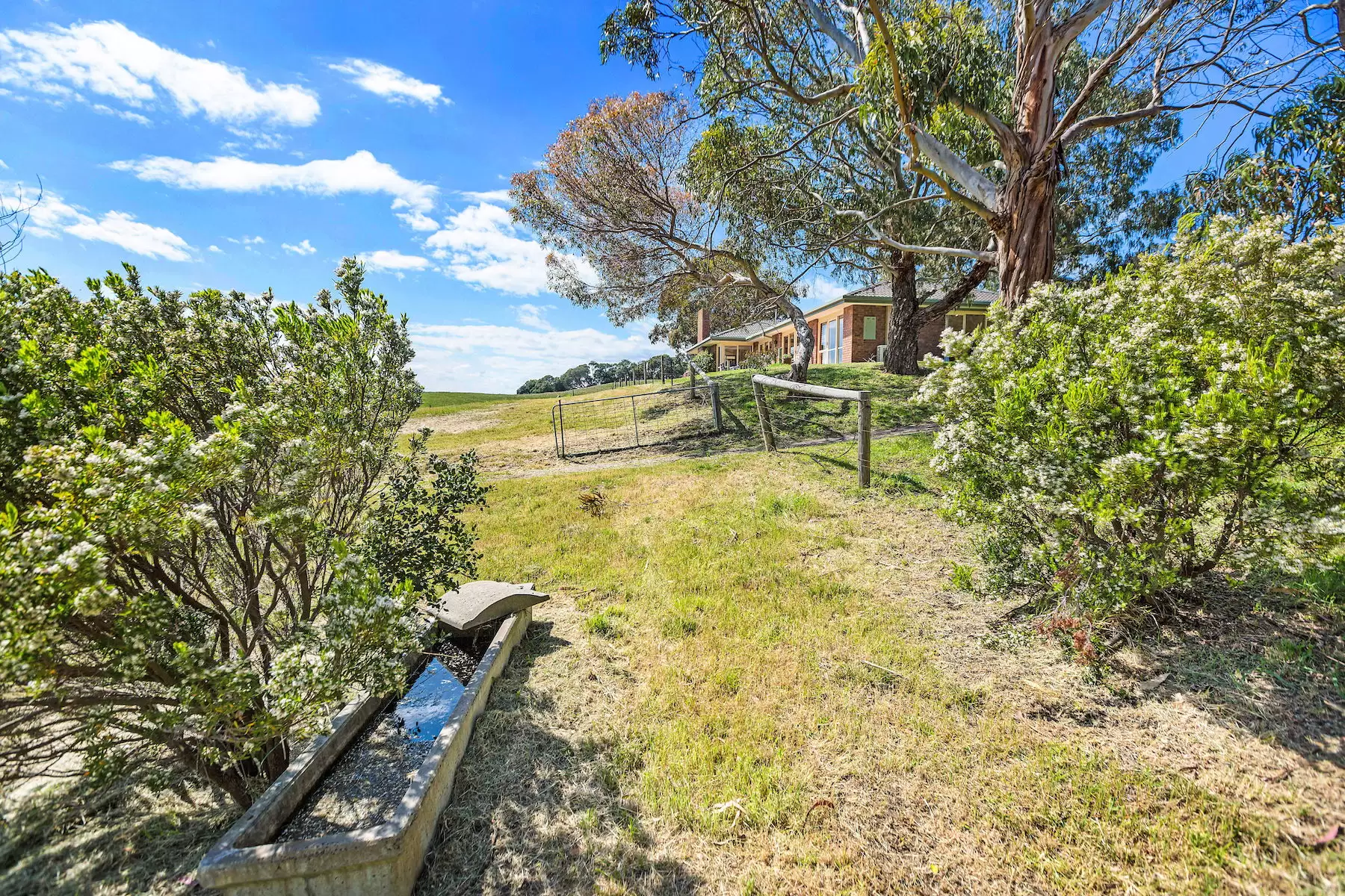 201 Sandy Road, Fingal Sold by Melbourne Sotheby's International Realty - image 4