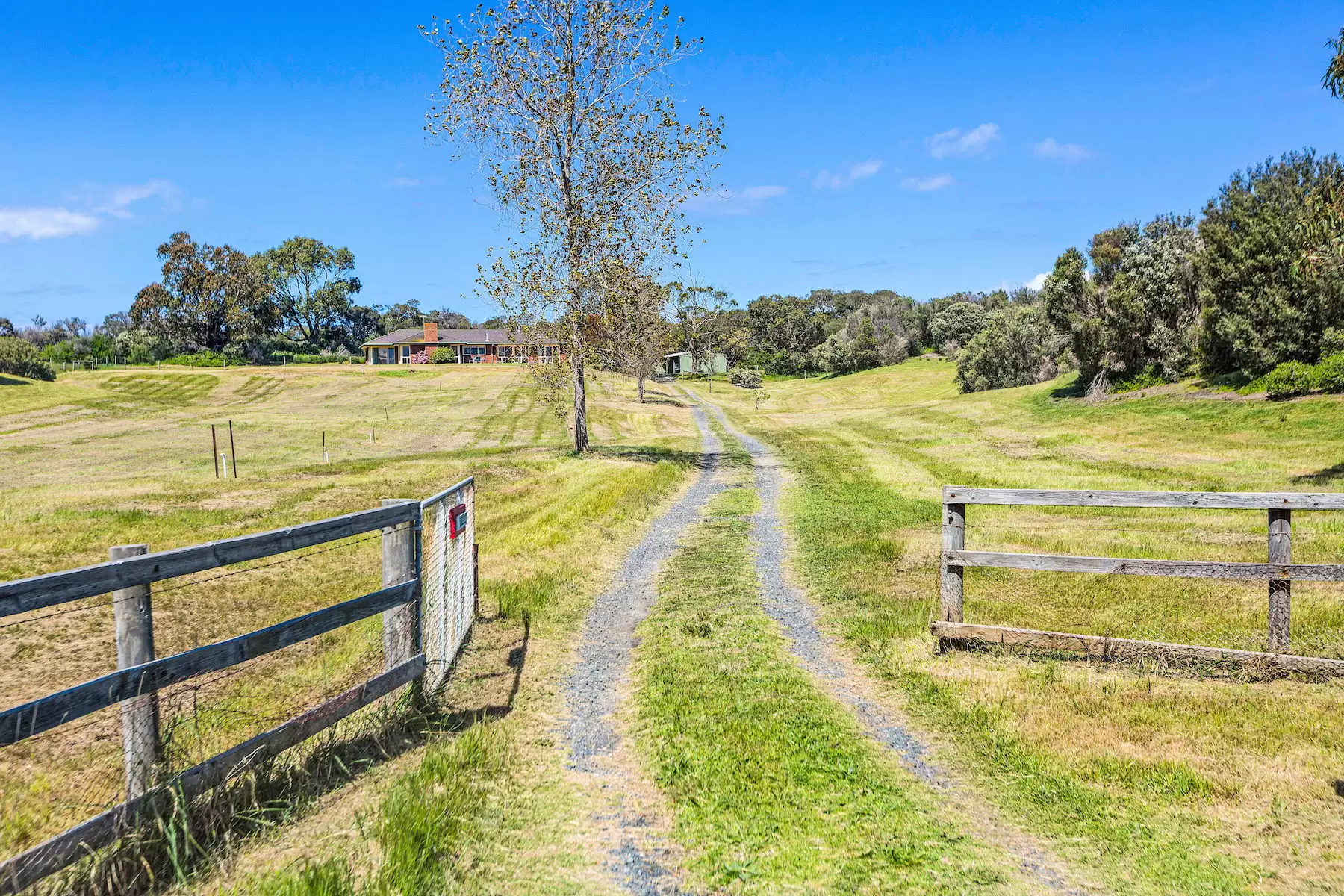 201 Sandy Road, Fingal Sold by Melbourne Sotheby's International Realty - image 2