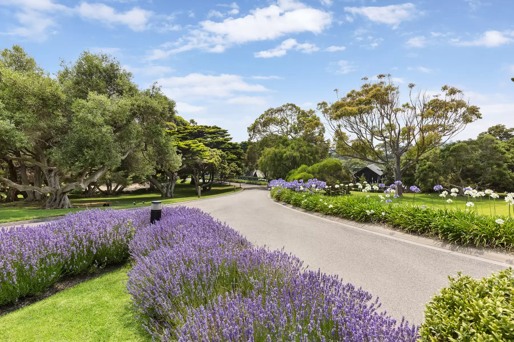 11 Armytage Drive, Portsea Sold by Melbourne Sotheby's International Realty - image 15