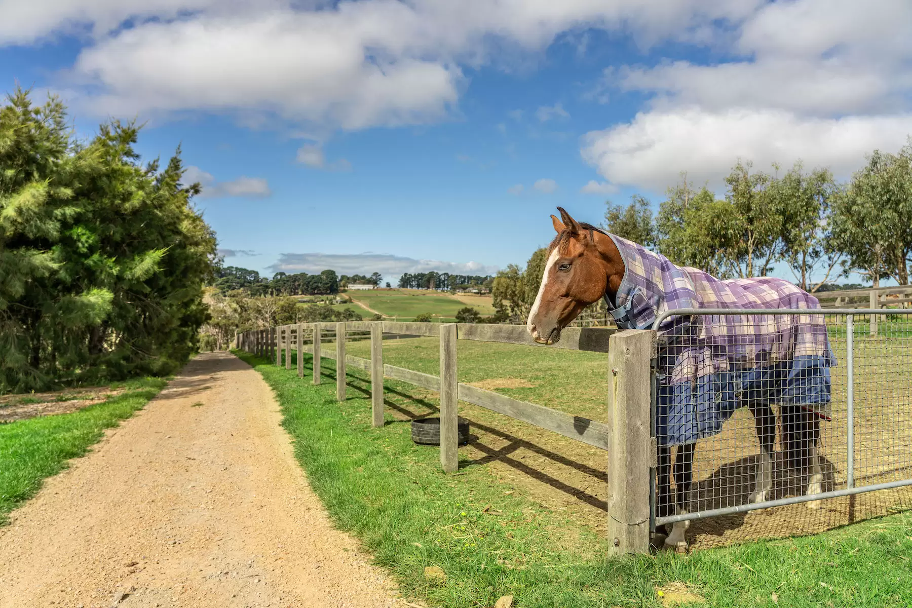 23 Stockdale Road, Arthurs Seat Sold by Melbourne Sotheby's International Realty - image 24