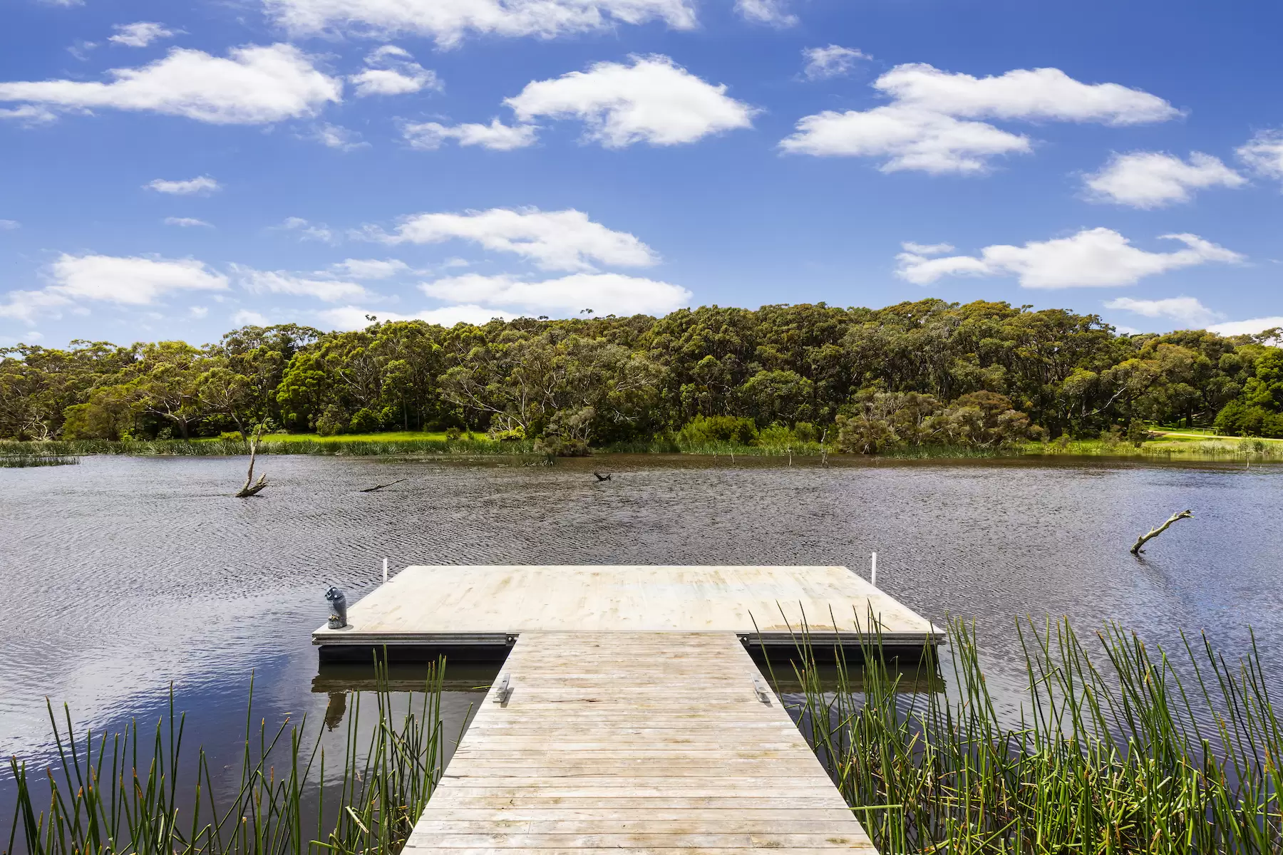 1222 Mornington Flinders Road, Main Ridge Sold by Melbourne Sotheby's International Realty - image 5