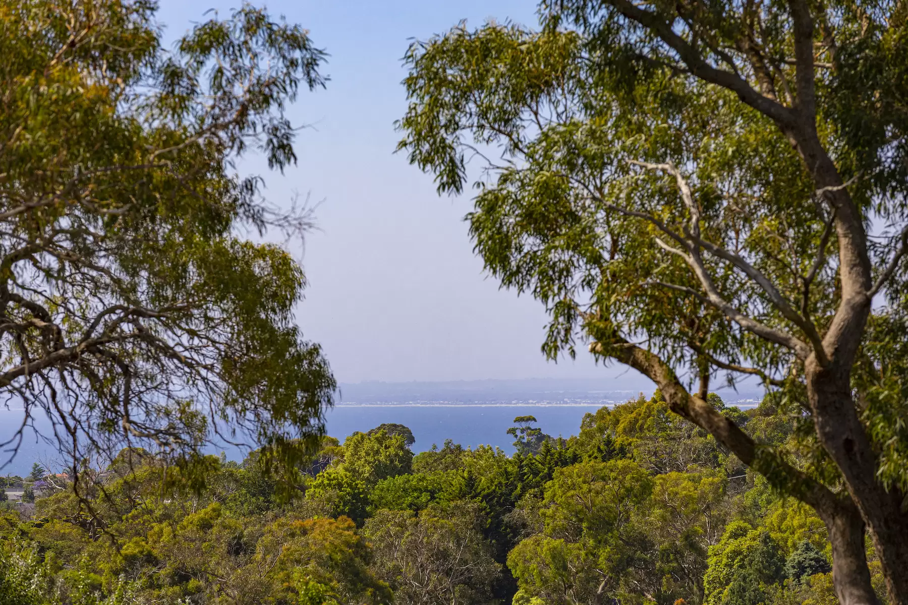 14 Rock Lodge Court, Frankston South Sold by Melbourne Sotheby's International Realty - image 6