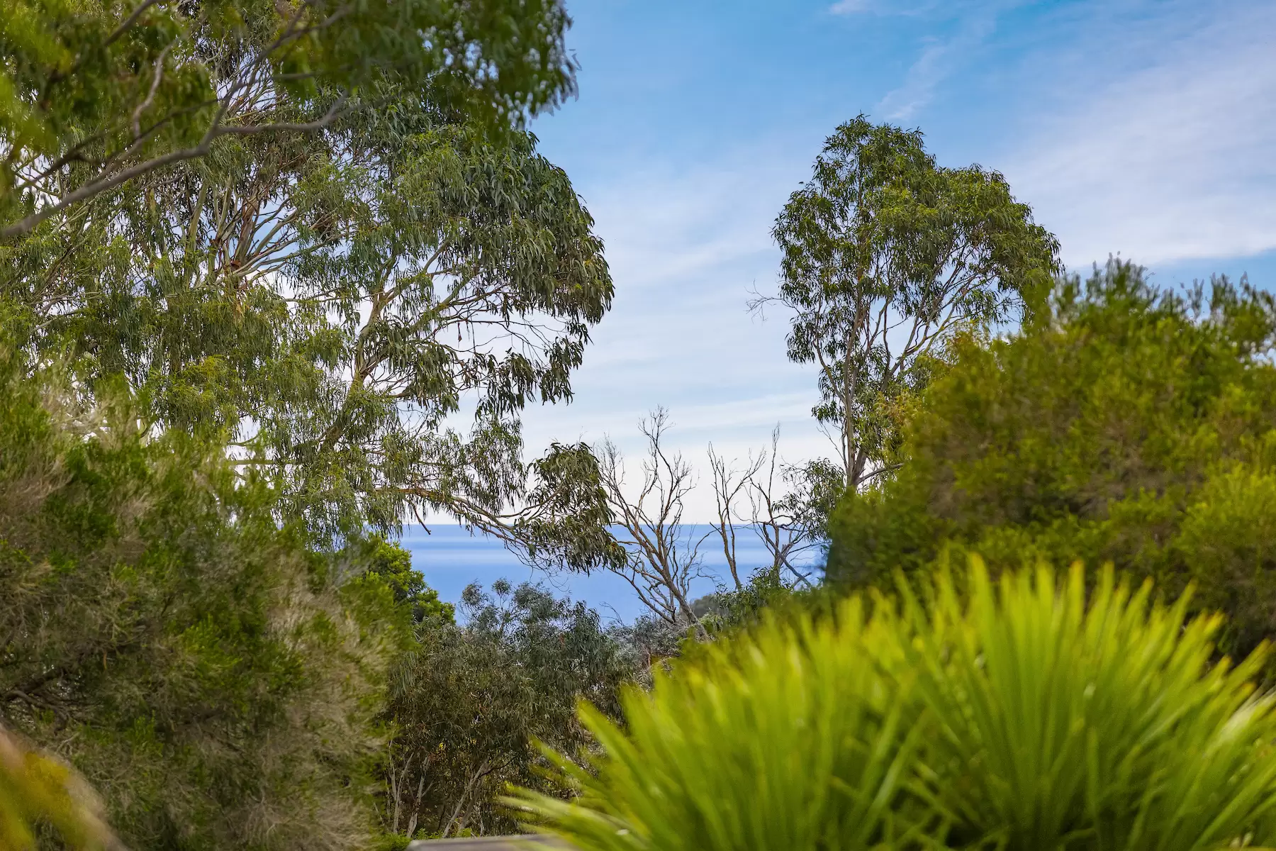 33 Scenic View Drive, Mount Martha Sold by Melbourne Sotheby's International Realty - image 9