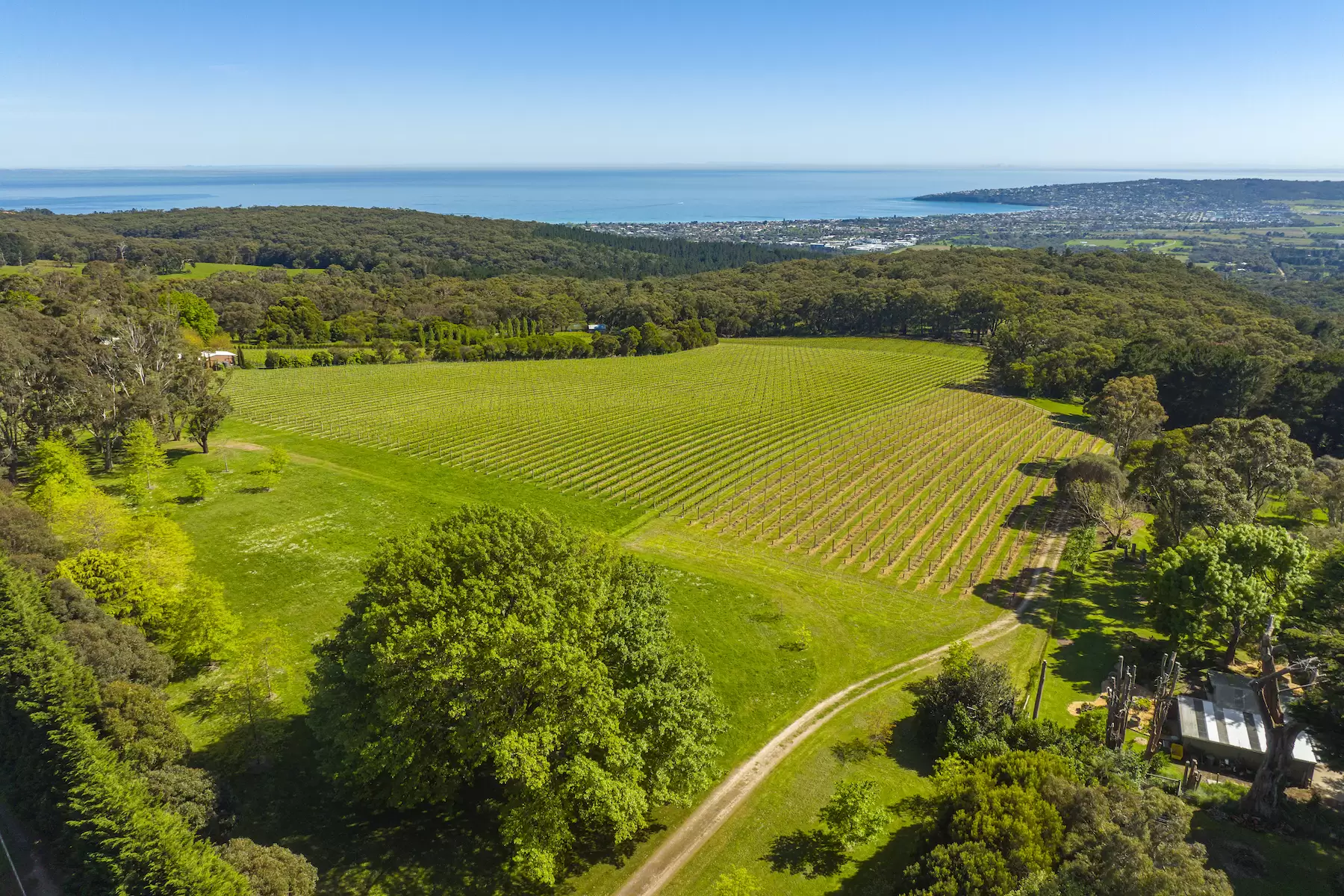 Lot Lot 1, 2 & 3, 376-396 Arthurs Seat Road, Red Hill Sold by Melbourne Sotheby's International Realty - image 14