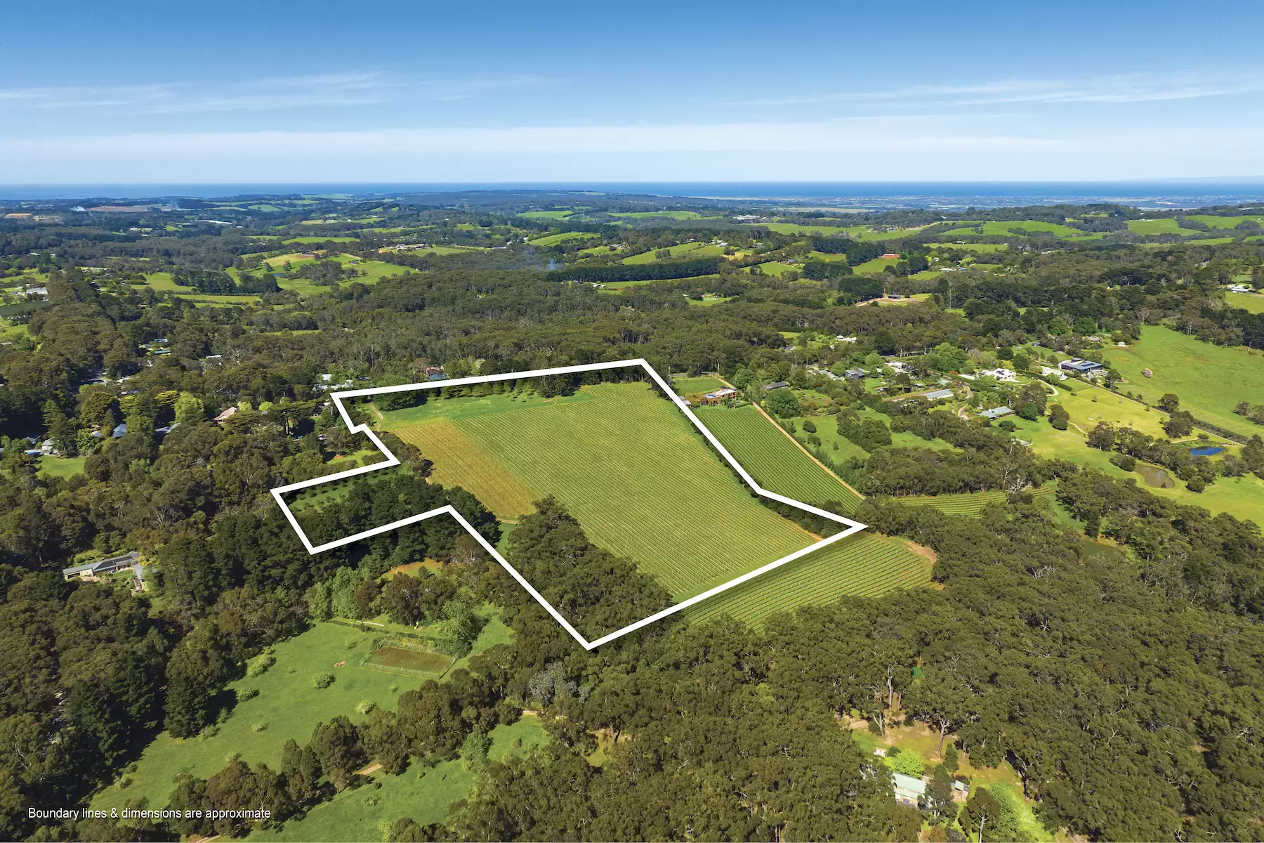 Lot Lot 1, 2 & 3, 376-396 Arthurs Seat Road, Red Hill Sold by Melbourne Sotheby's International Realty - image 17