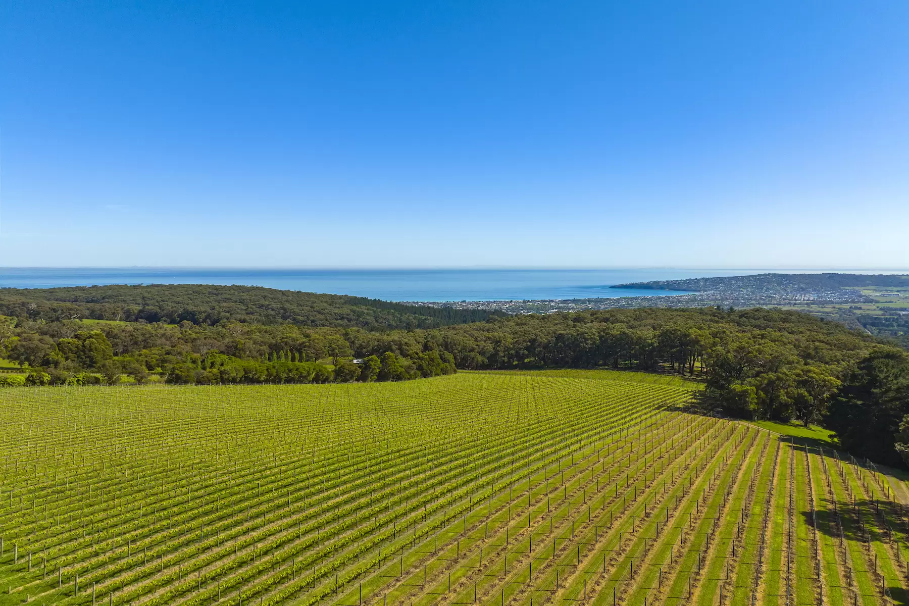 Lot Lot 1, 2 & 3, 376-396 Arthurs Seat Road, Red Hill Sold by Melbourne Sotheby's International Realty - image 4