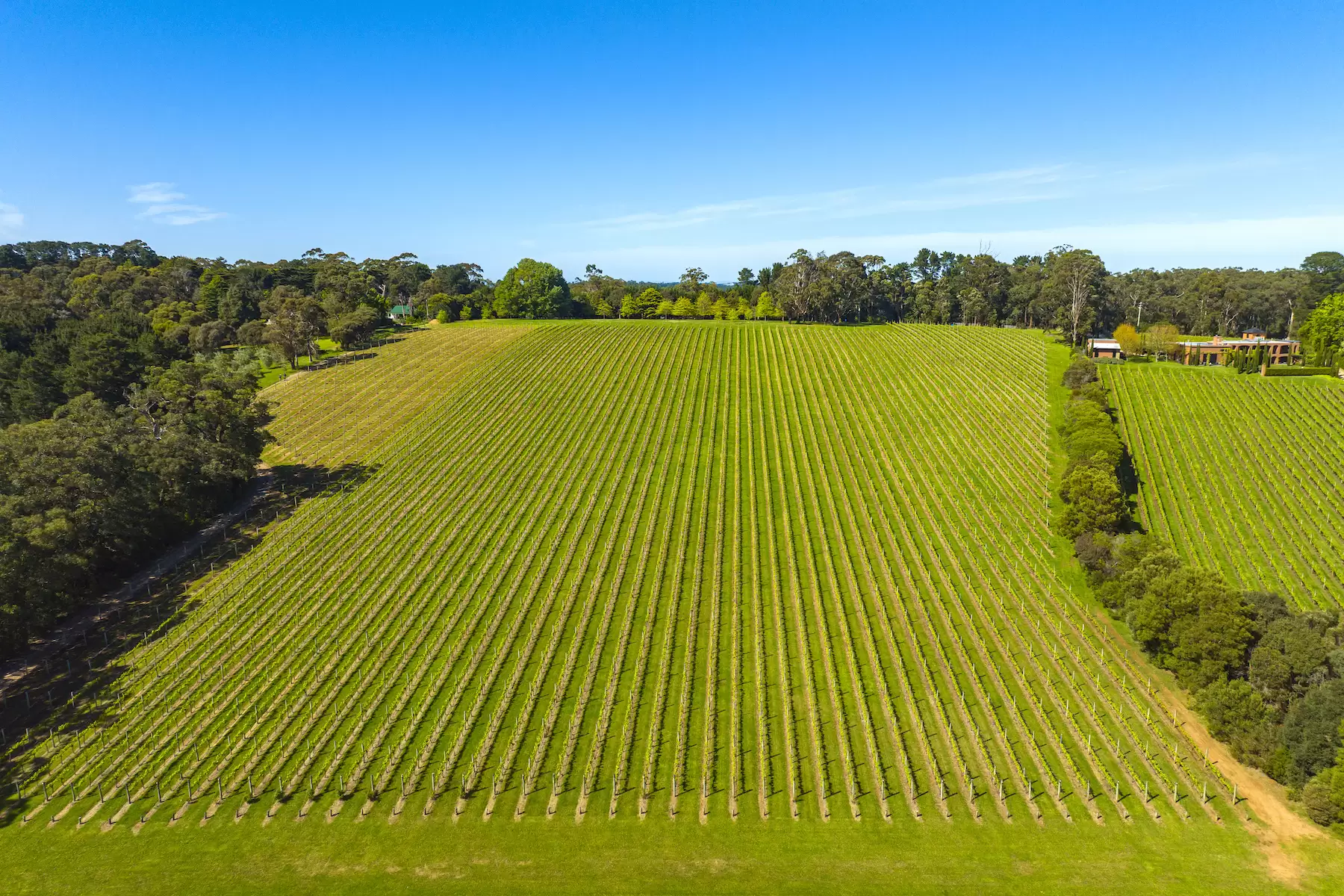 Lot Lot 1, 2 & 3, 376-396 Arthurs Seat Road, Red Hill Sold by Melbourne Sotheby's International Realty - image 19