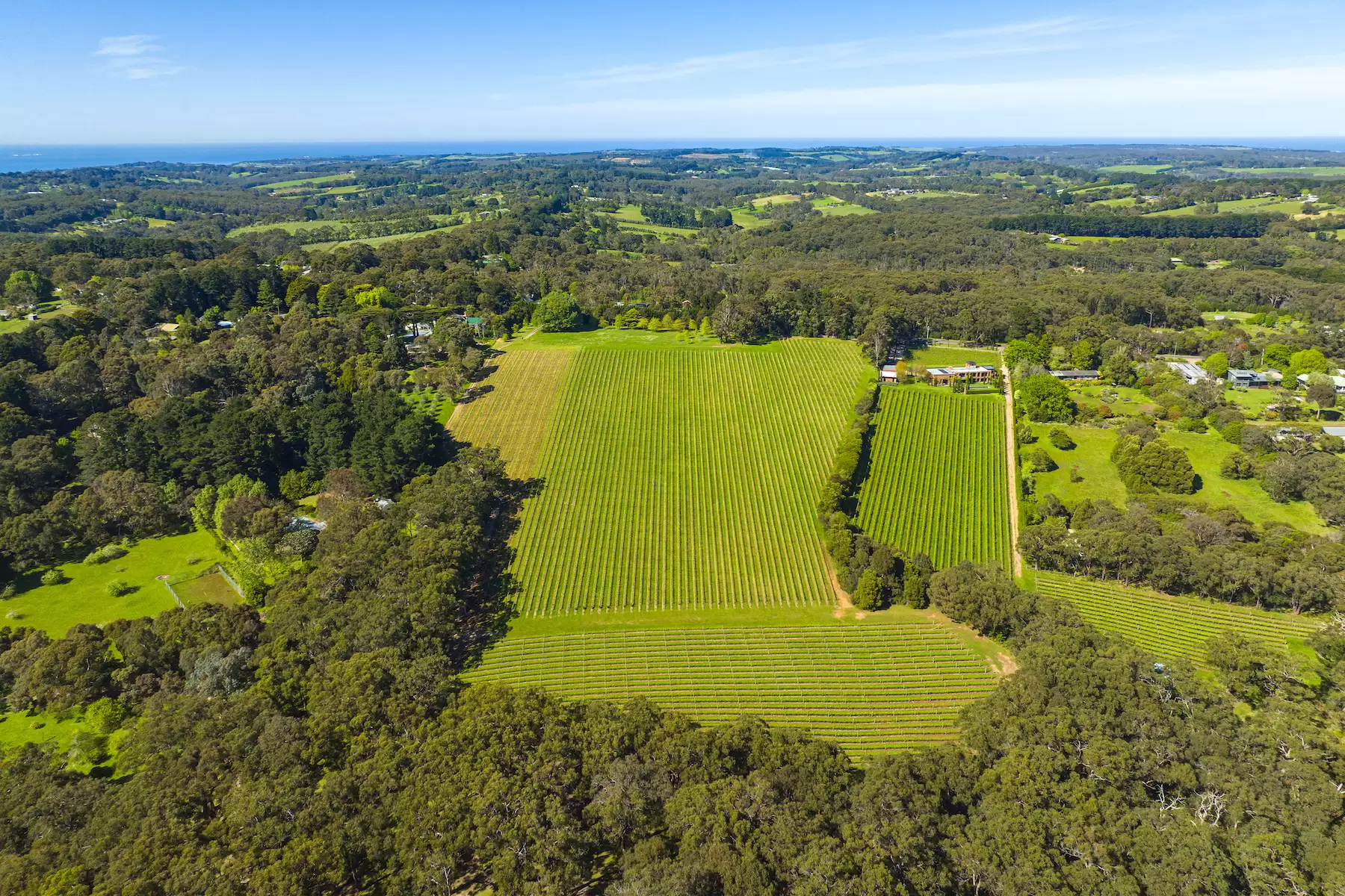 Lot Lot 1, 2 & 3, 376-396 Arthurs Seat Road, Red Hill Sold by Melbourne Sotheby's International Realty - image 18