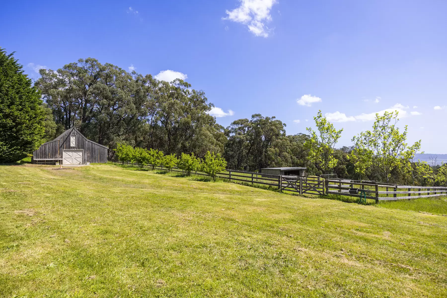 98 Sheehans Road, Red Hill For Sale by Melbourne Sotheby's International Realty - image 13