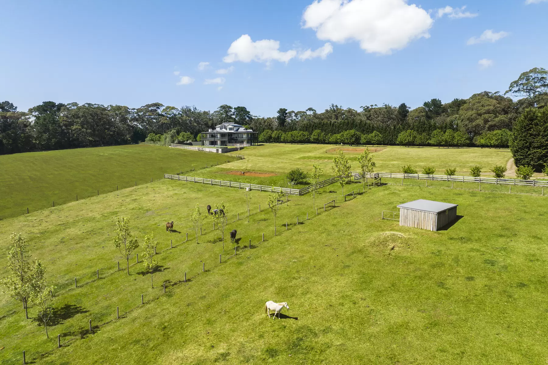 98 Sheehans Road, Red Hill For Sale by Melbourne Sotheby's International Realty - image 12