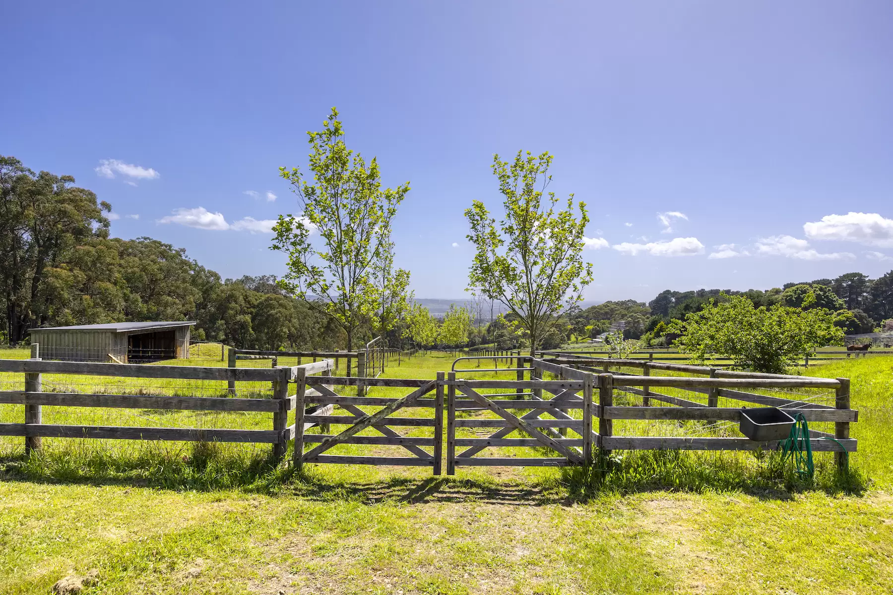 98 Sheehans Road, Red Hill For Sale by Melbourne Sotheby's International Realty - image 14