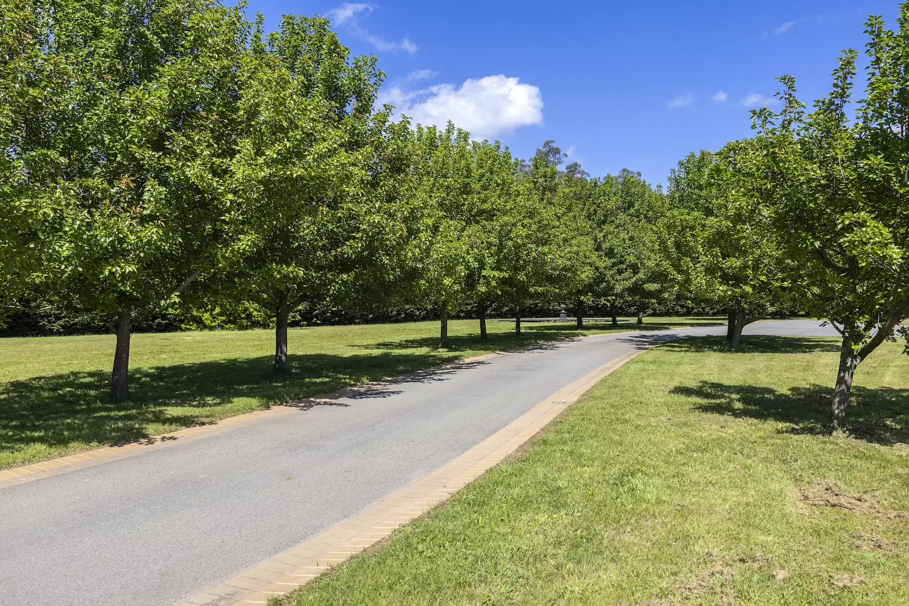 98 Sheehans Road, Red Hill For Sale by Melbourne Sotheby's International Realty - image 5