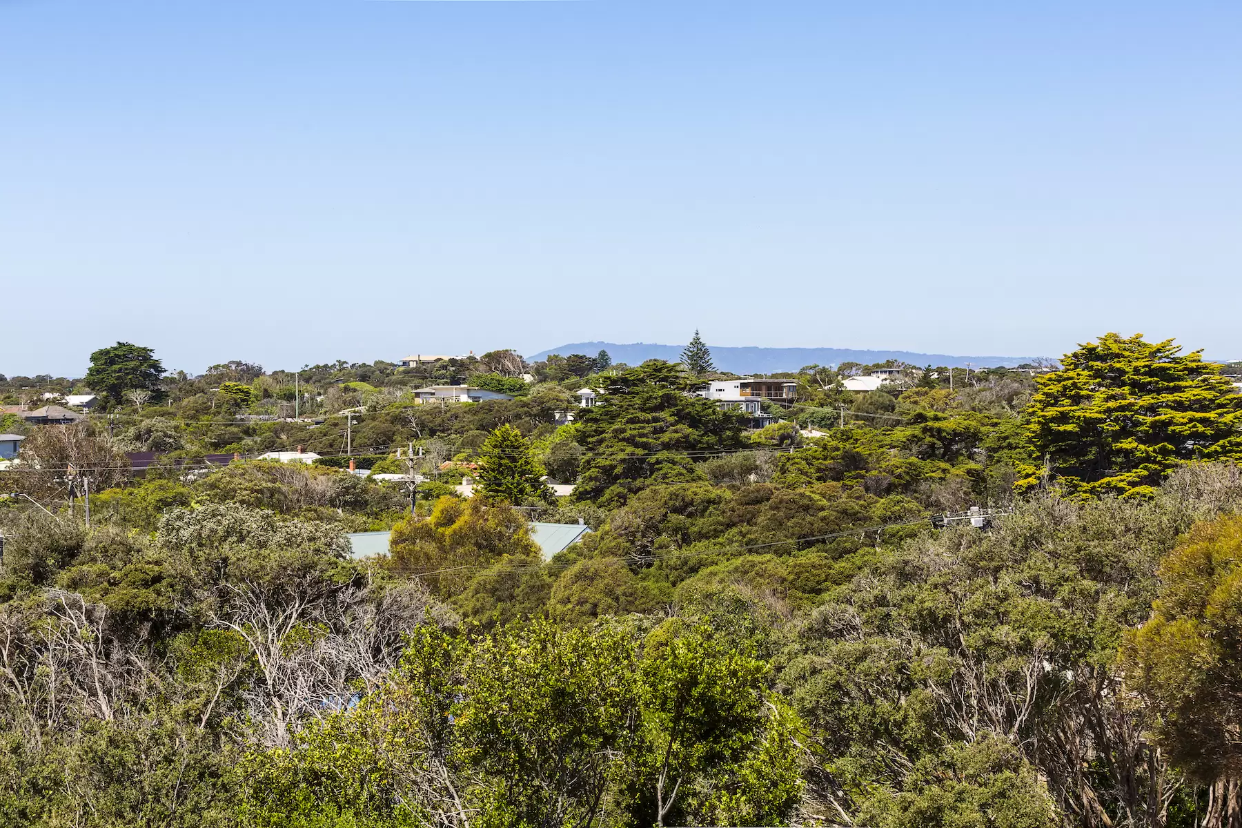 8 Parkside Street, Sorrento Sold by Melbourne Sotheby's International Realty - image 21