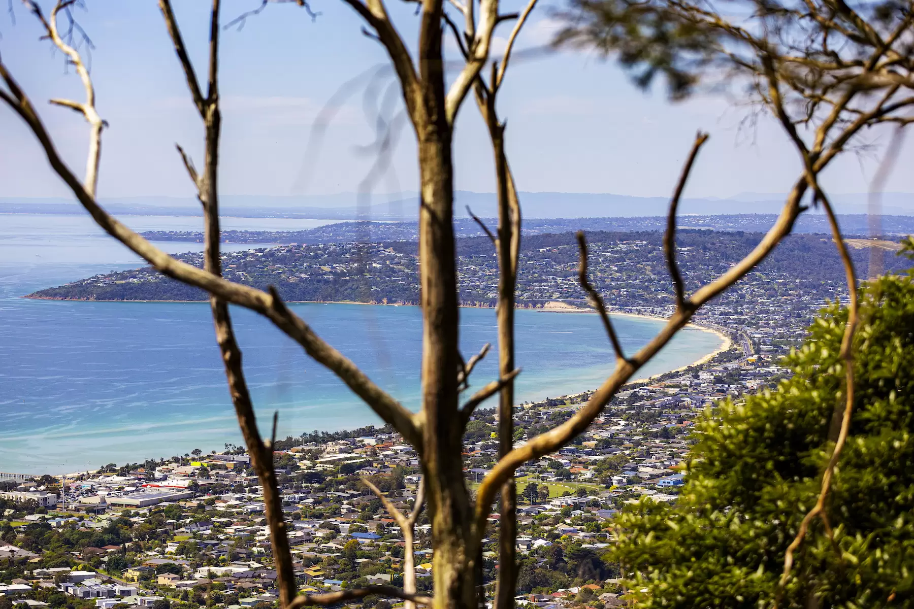 12 Nestle Court, Arthurs Seat Sold by Melbourne Sotheby's International Realty - image 1