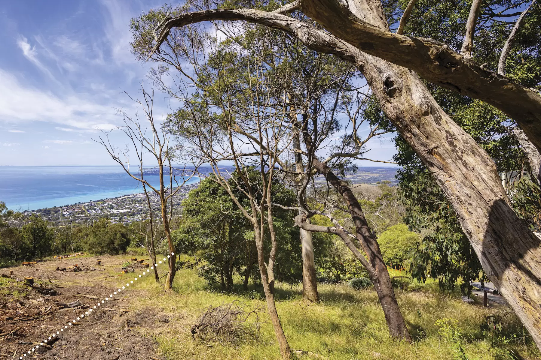 12 Nestle Court, Arthurs Seat Sold by Melbourne Sotheby's International Realty - image 3