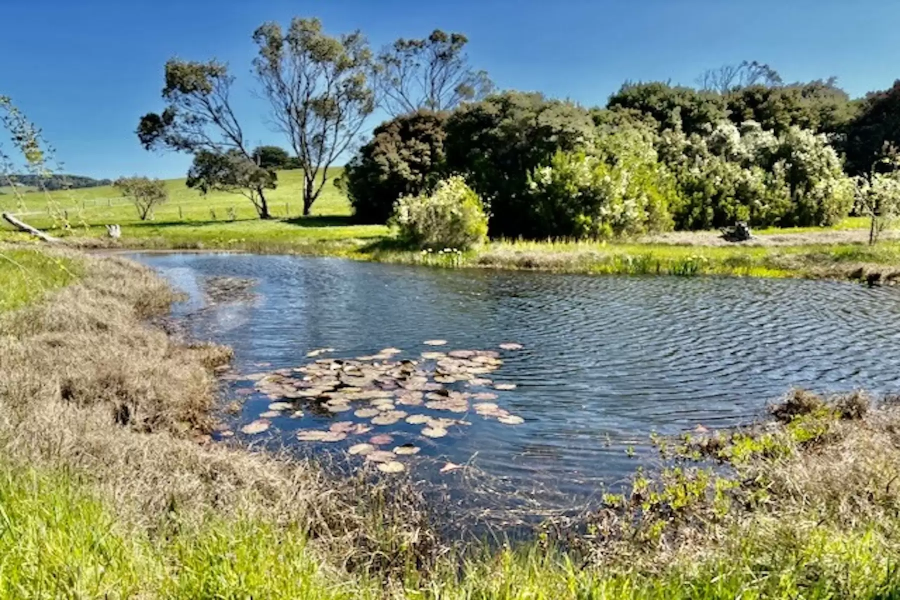 2150 Mornington Flinders Road, Flinders For Sale by Melbourne Sotheby's International Realty - image 20