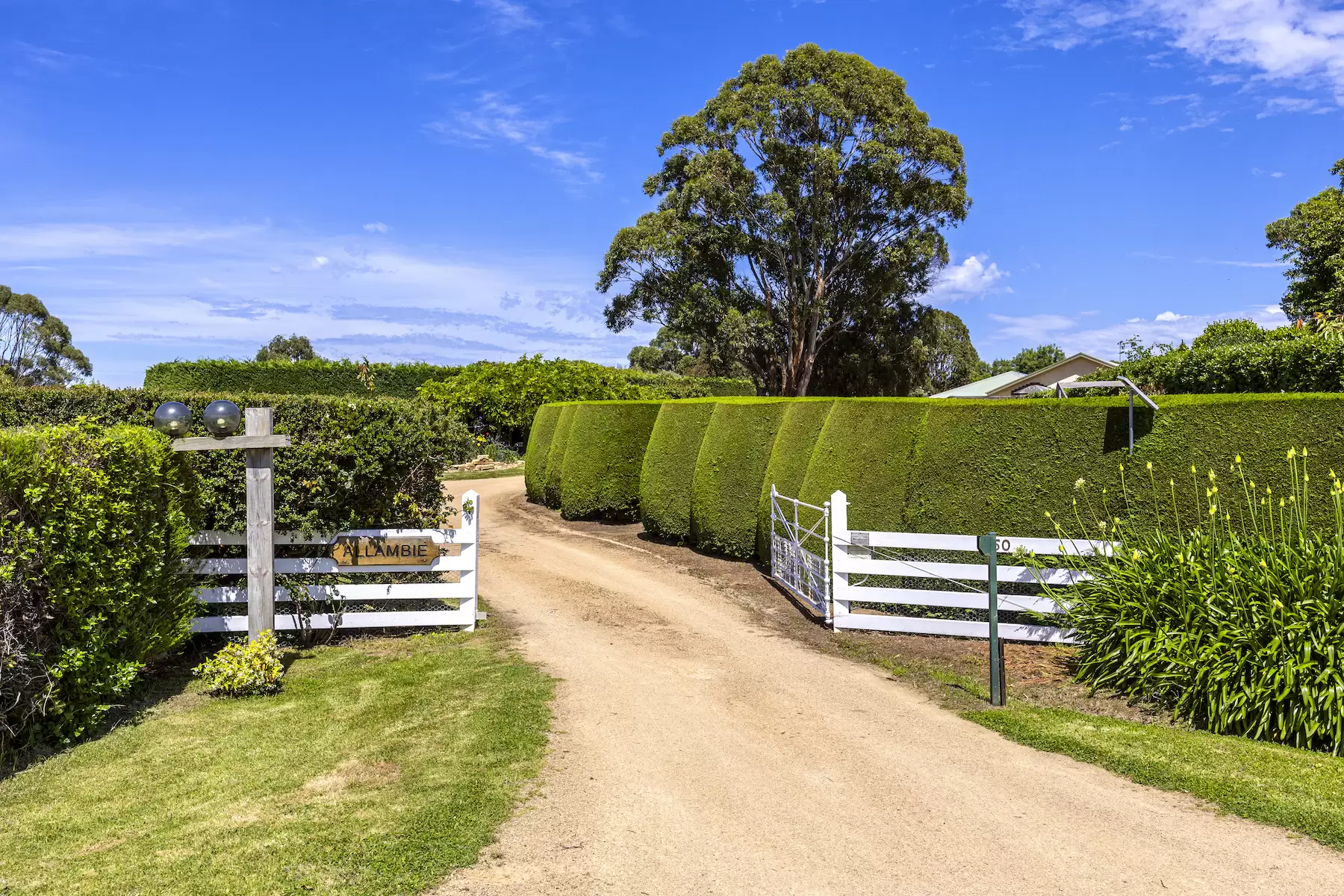 2150 Mornington Flinders Road, Flinders For Sale by Melbourne Sotheby's International Realty - image 5