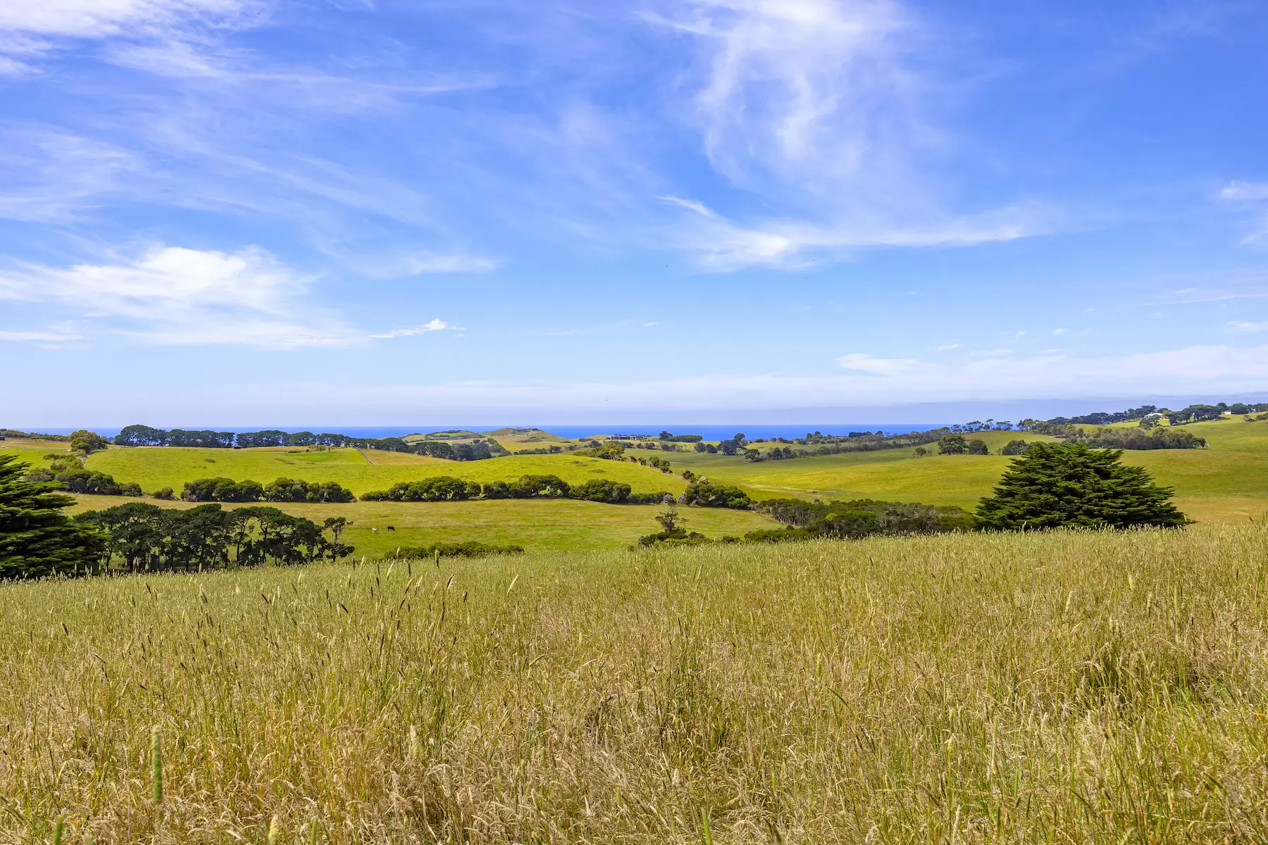 2150 Mornington Flinders Road, Flinders For Sale by Melbourne Sotheby's International Realty - image 17