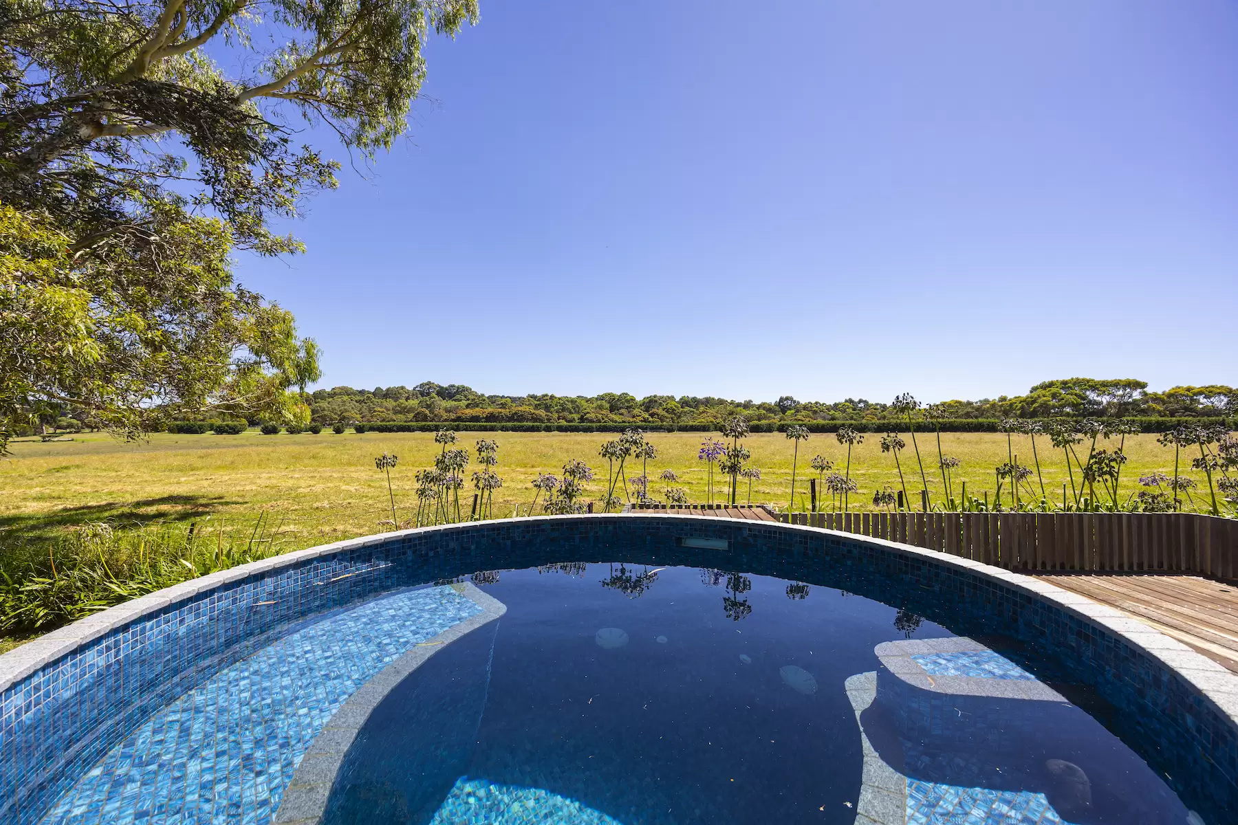 7 Rest Drive, Flinders Sold by Melbourne Sotheby's International Realty - image 5