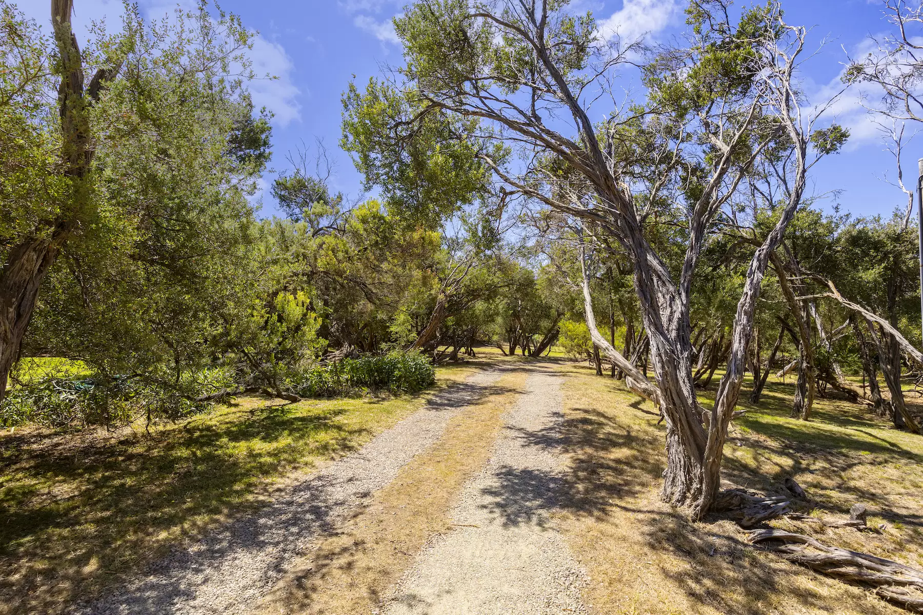 54-58 Campbells Road, Portsea Sold by Melbourne Sotheby's International Realty - image 20