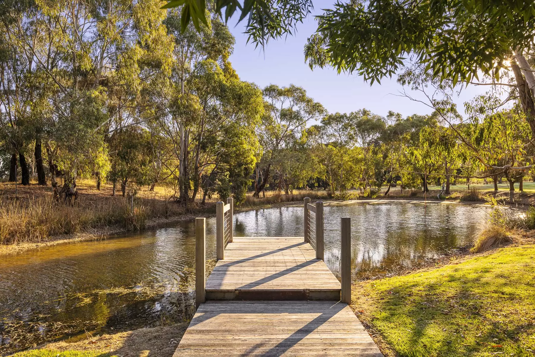 7 Turners Road, Balnarring Sold by Melbourne Sotheby's International Realty - image 3