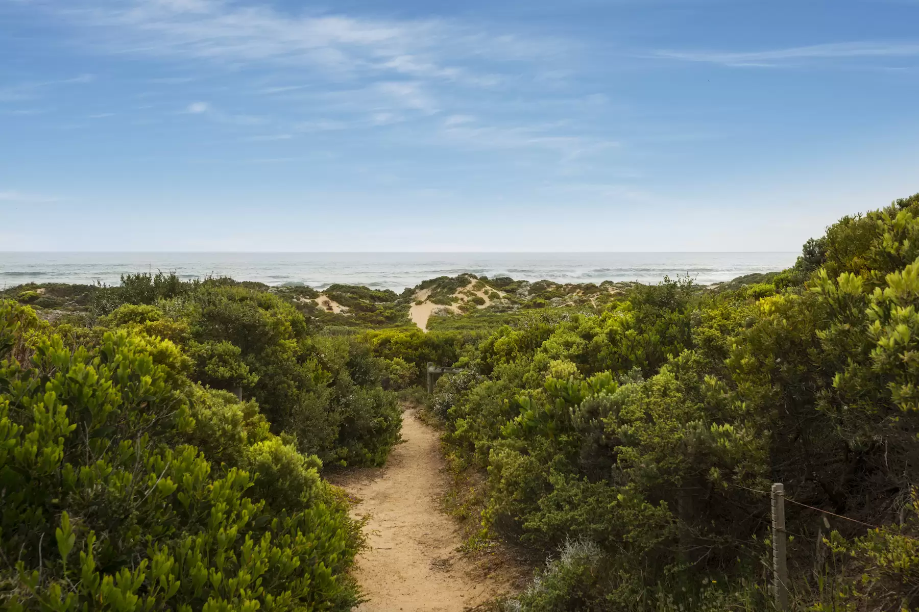 459 Dundas Street, St Andrews Beach Sold by Melbourne Sotheby's International Realty - image 23