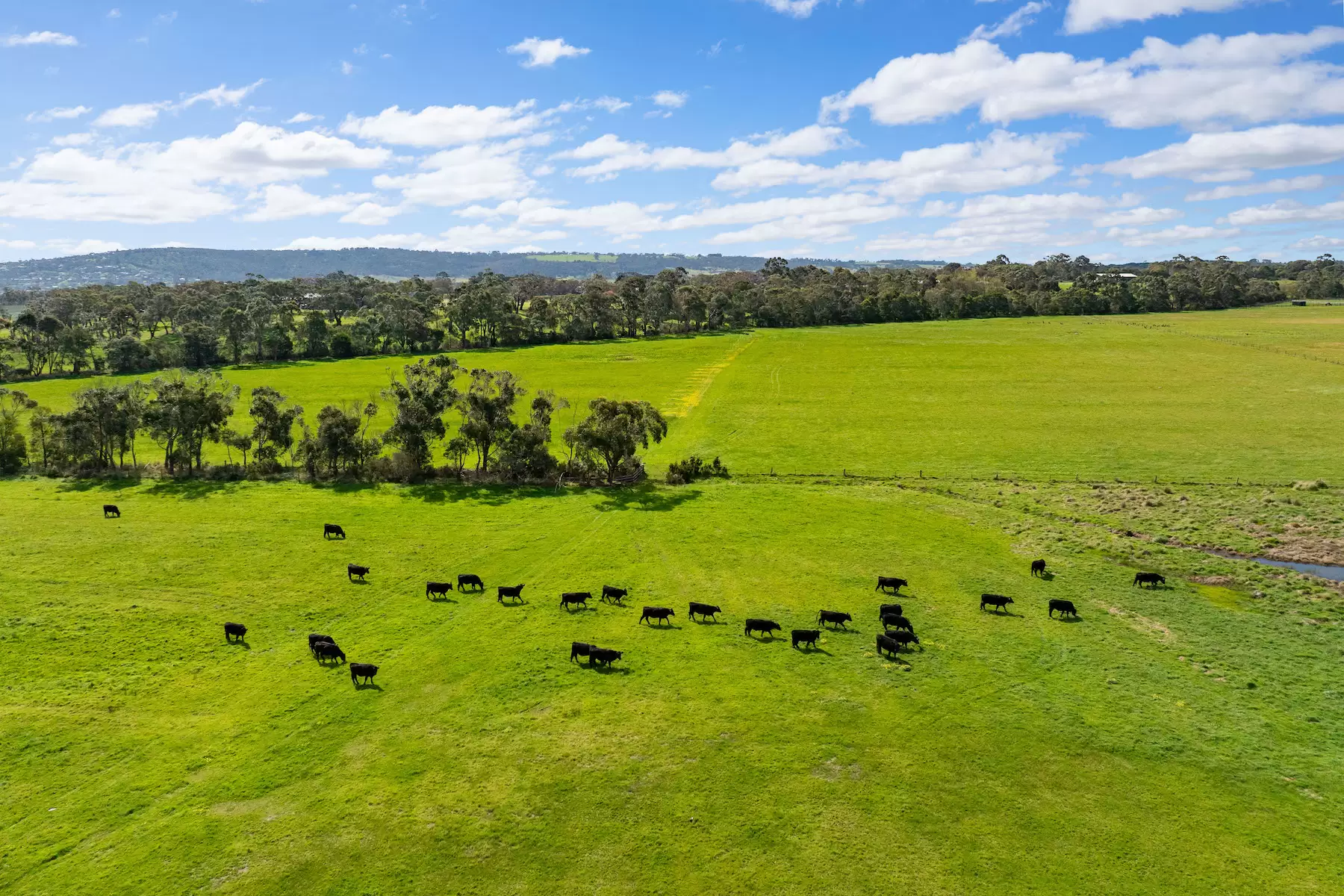 90 Wallaces Road, Dromana For Sale by Melbourne Sotheby's International Realty - image 10