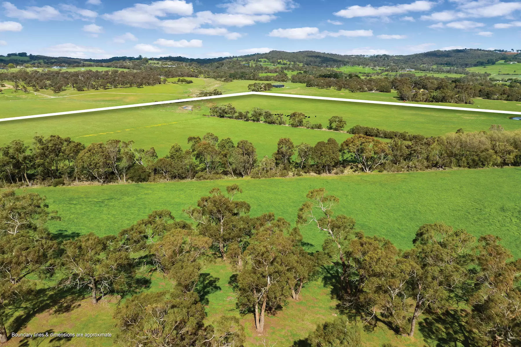 90 Wallaces Road, Dromana For Sale by Melbourne Sotheby's International Realty - image 12