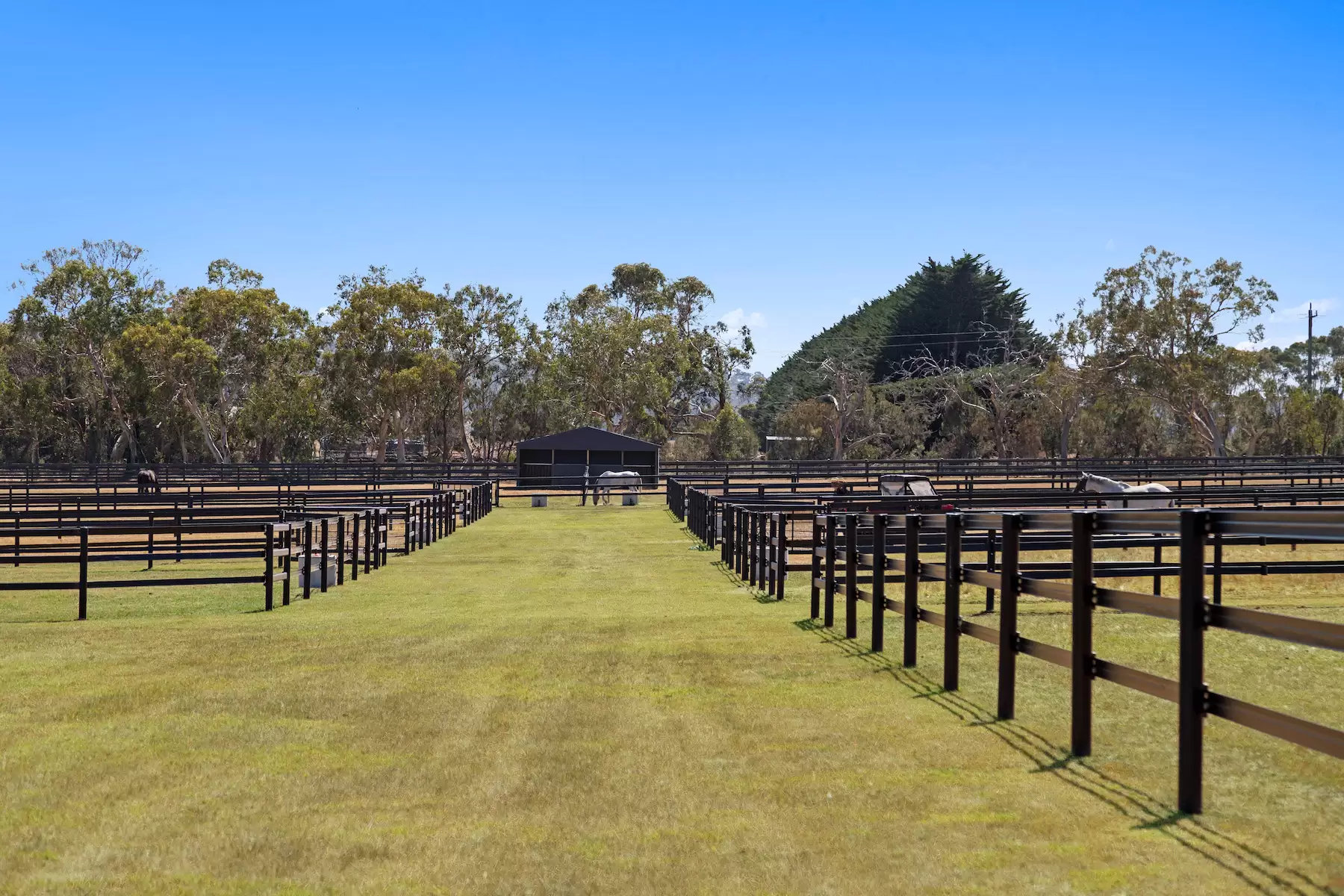 90 Wallaces Road, Dromana For Sale by Melbourne Sotheby's International Realty - image 14