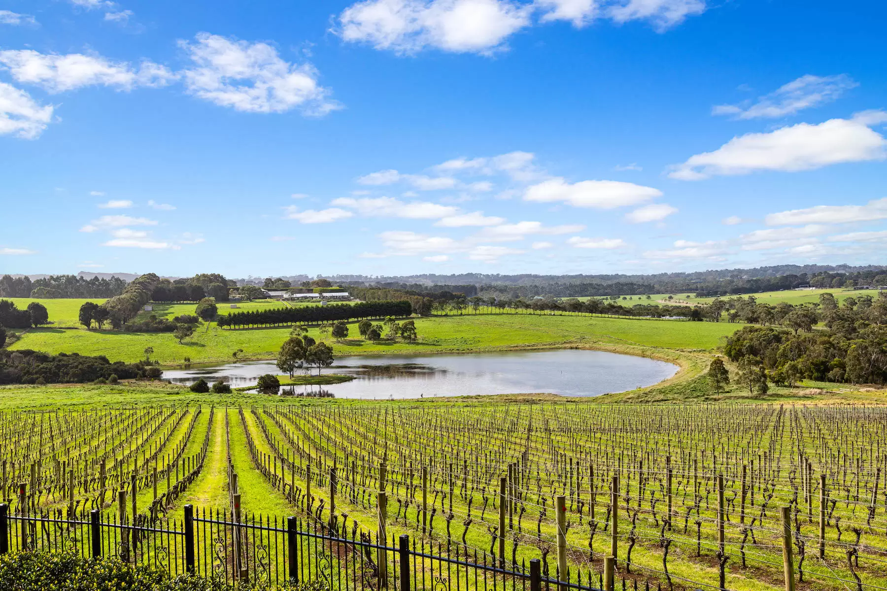 20 Stanleys Road, Merricks North For Sale by Melbourne Sotheby's International Realty - image 8