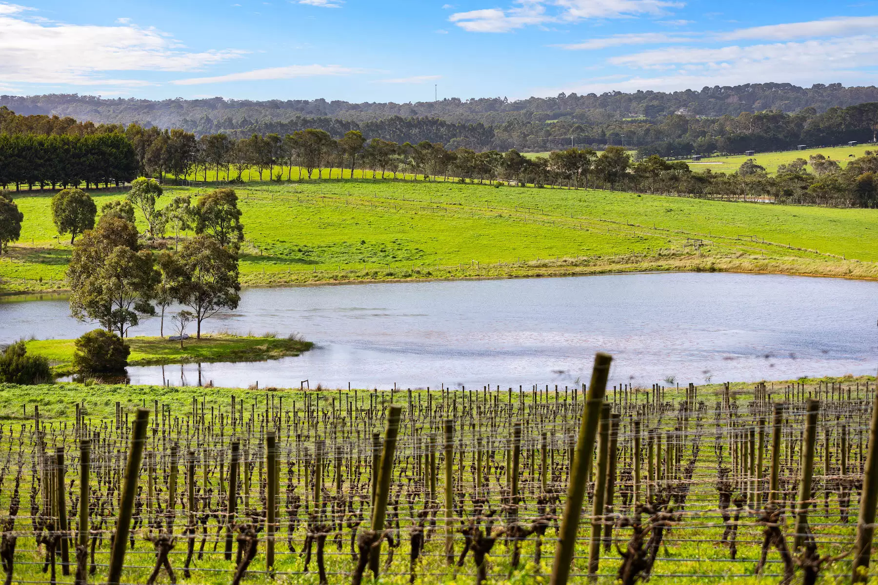 20 Stanleys Road, Merricks North For Sale by Melbourne Sotheby's International Realty - image 9