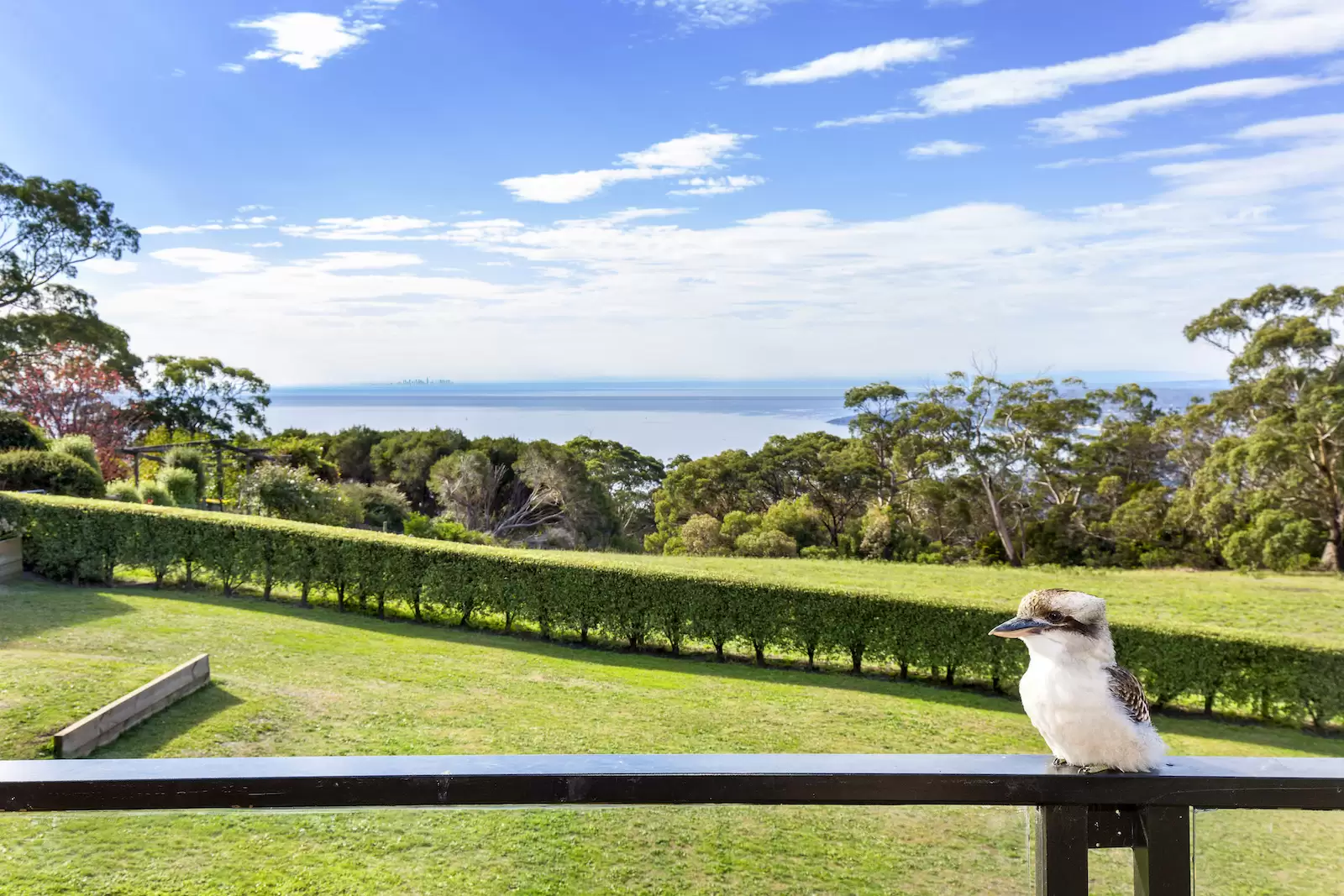 738 Arthurs Seat Road, Arthurs Seat Sold by Melbourne Sotheby's International Realty - image 2