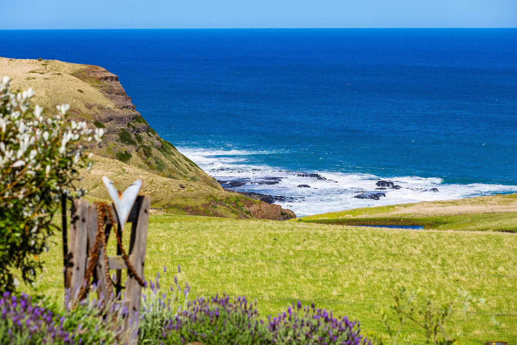 1820 Boneo Road, Flinders For Sale by Melbourne Sotheby's International Realty - image 3