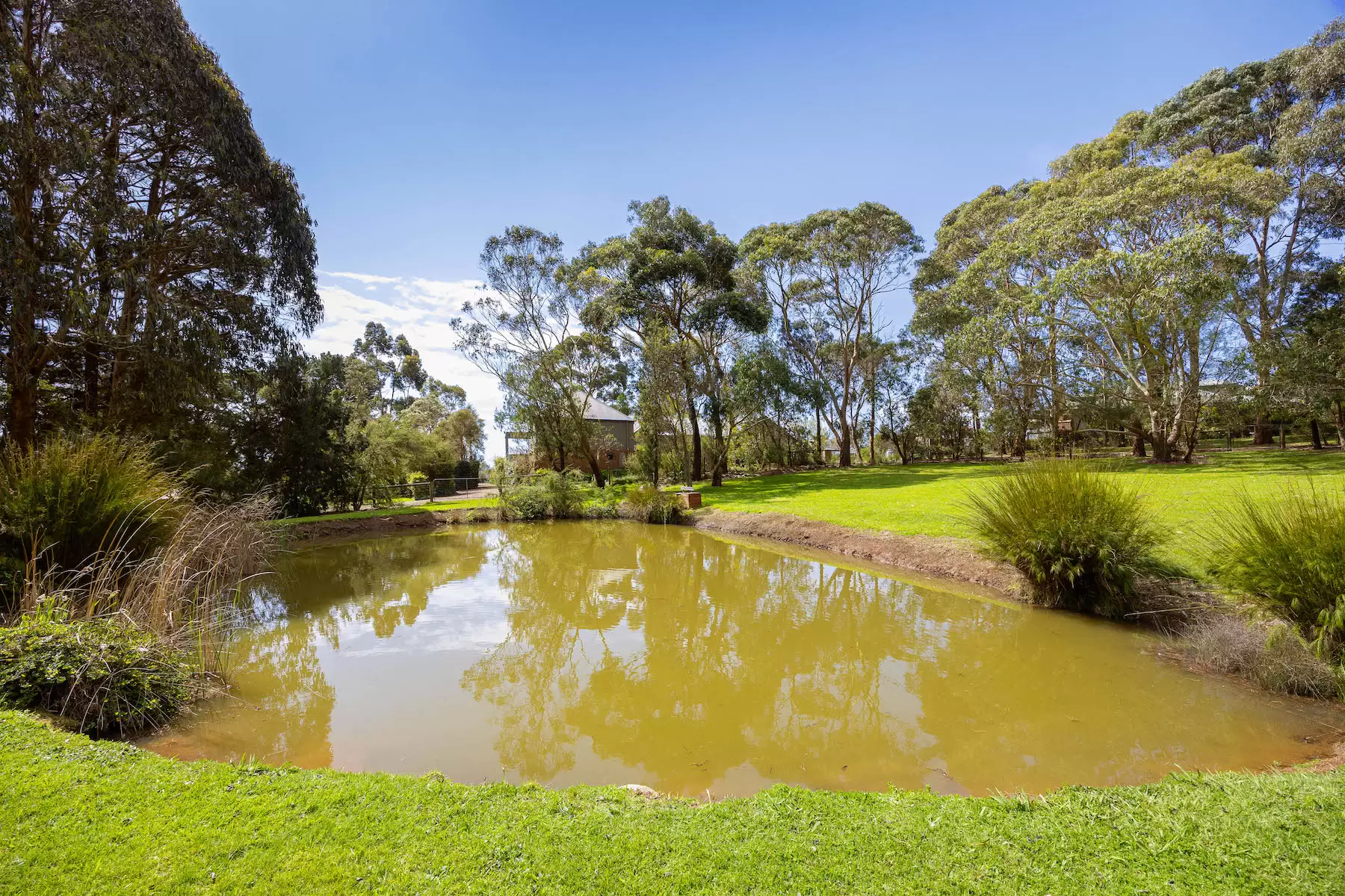 30 Sheehans Road, Red Hill For Sale by Melbourne Sotheby's International Realty - image 15