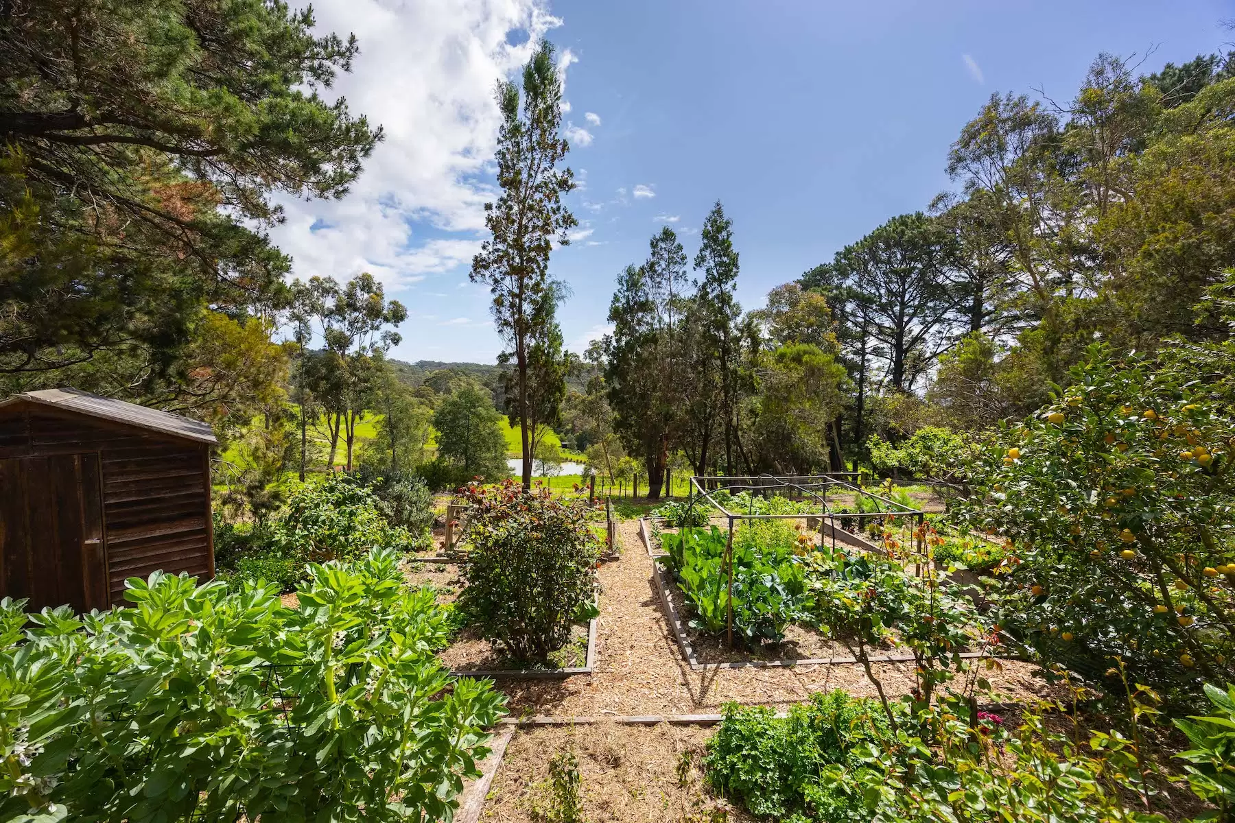 30 Sheehans Road, Red Hill For Sale by Melbourne Sotheby's International Realty - image 16