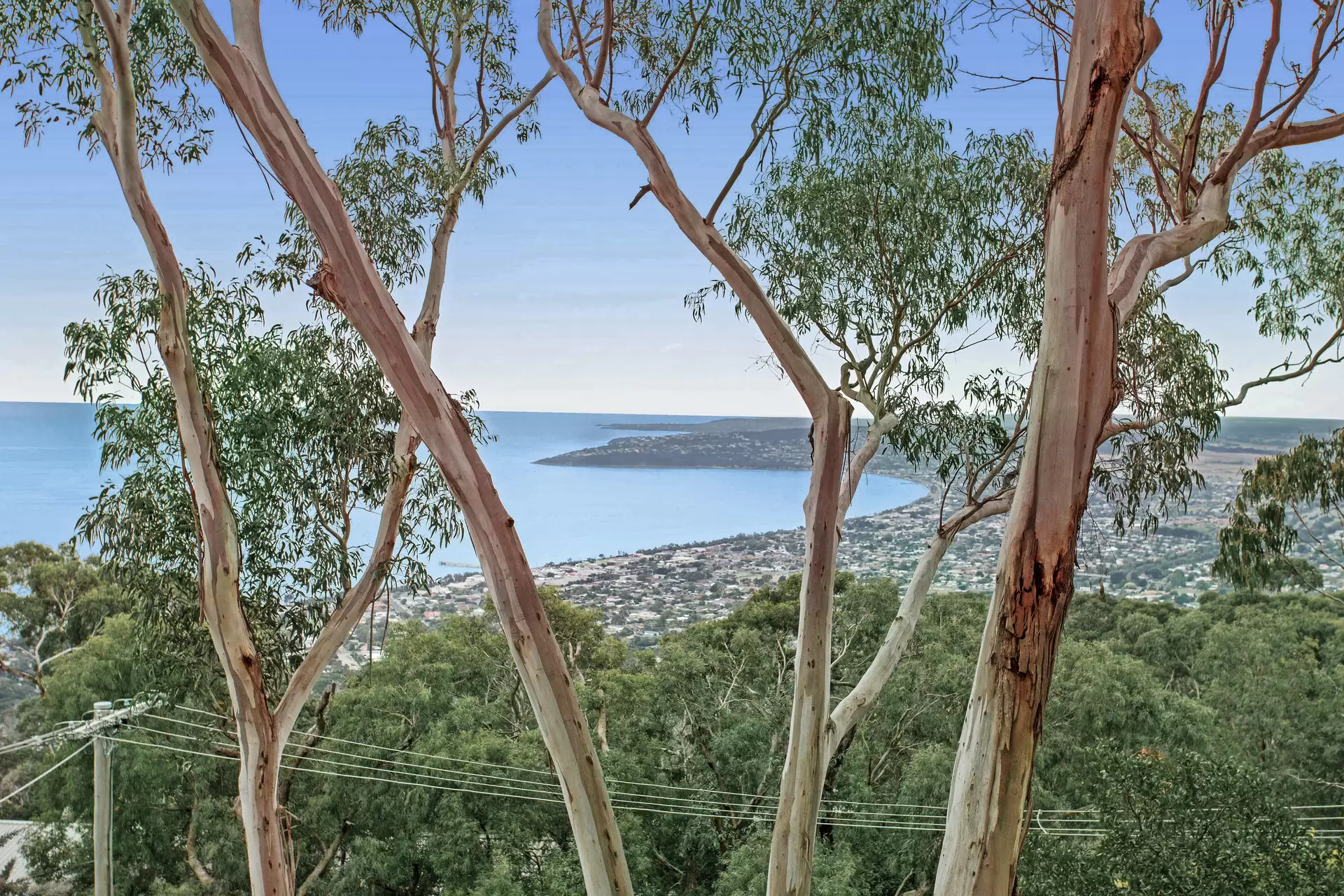 760 Arthurs Street Road, Arthurs Seat Sold by Melbourne Sotheby's International Realty - image 1