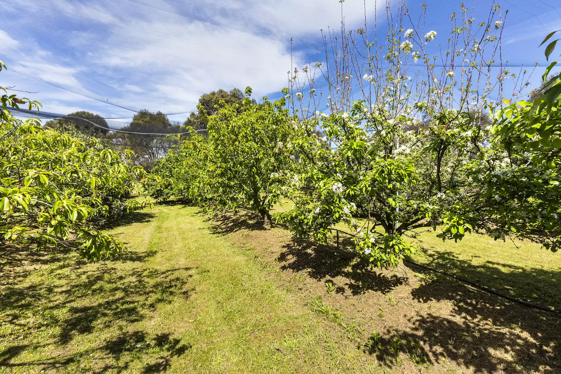 130 Hendersons Road, Bittern Sold by Melbourne Sotheby's International Realty - image 10