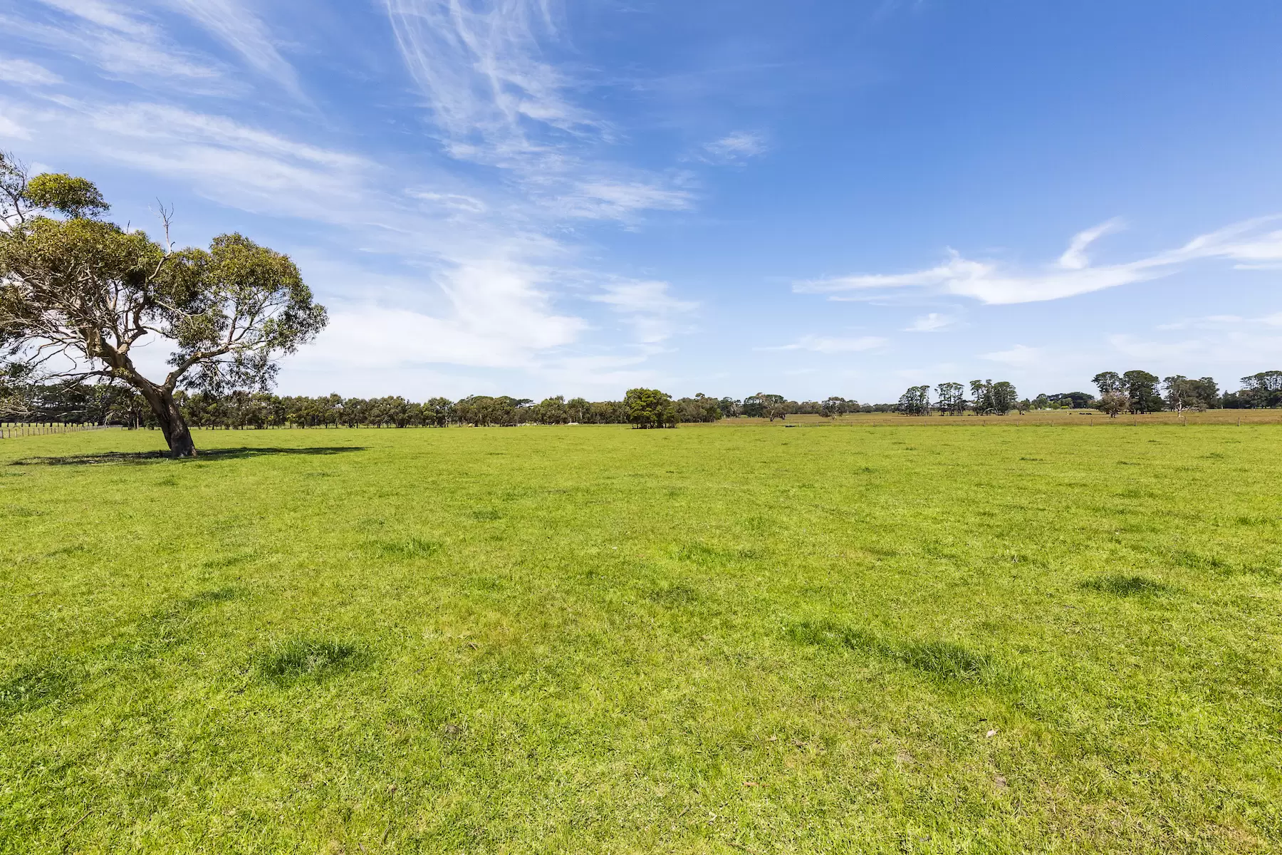 130 Hendersons Road, Bittern Sold by Melbourne Sotheby's International Realty - image 7