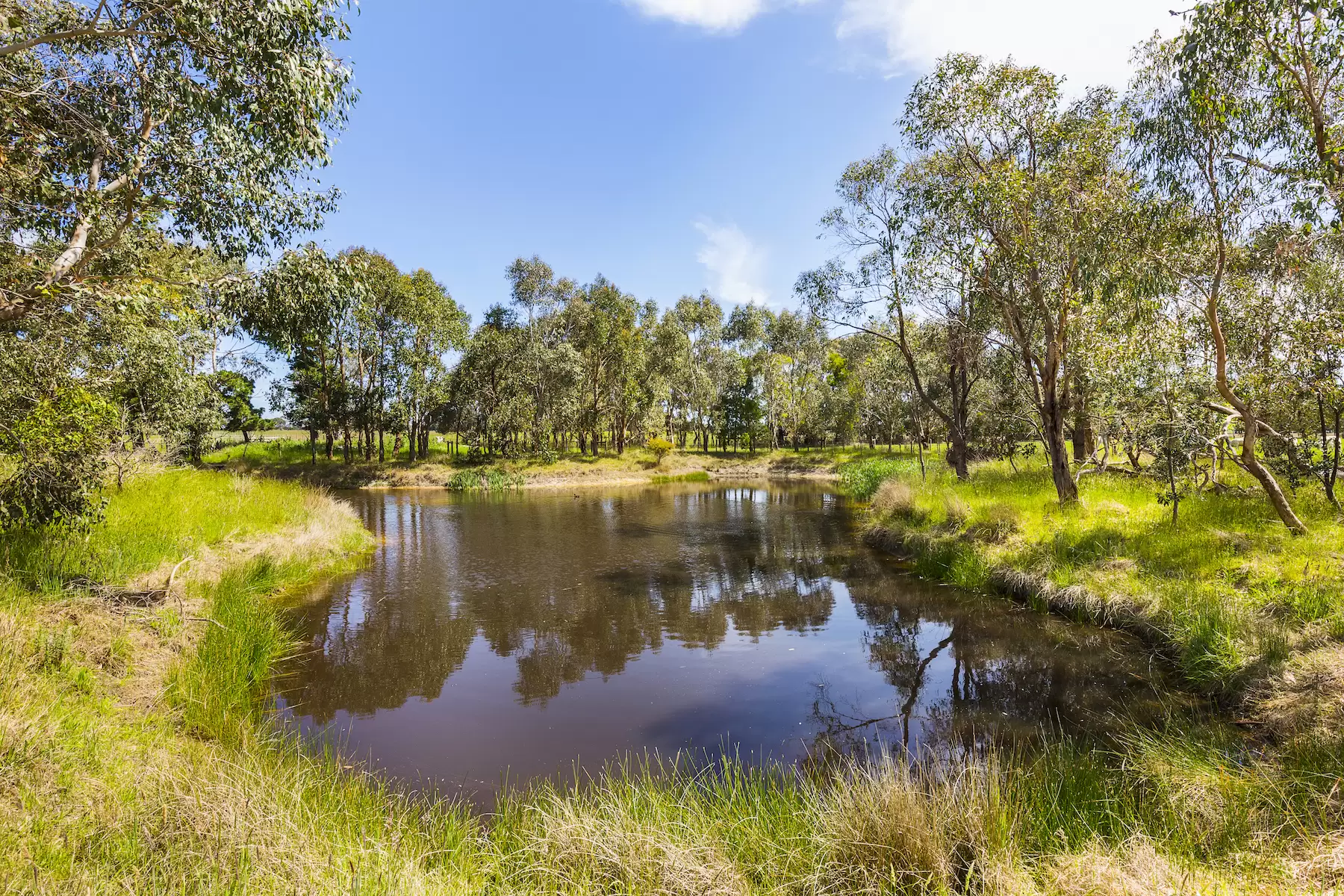 130 Hendersons Road, Bittern Sold by Melbourne Sotheby's International Realty - image 8