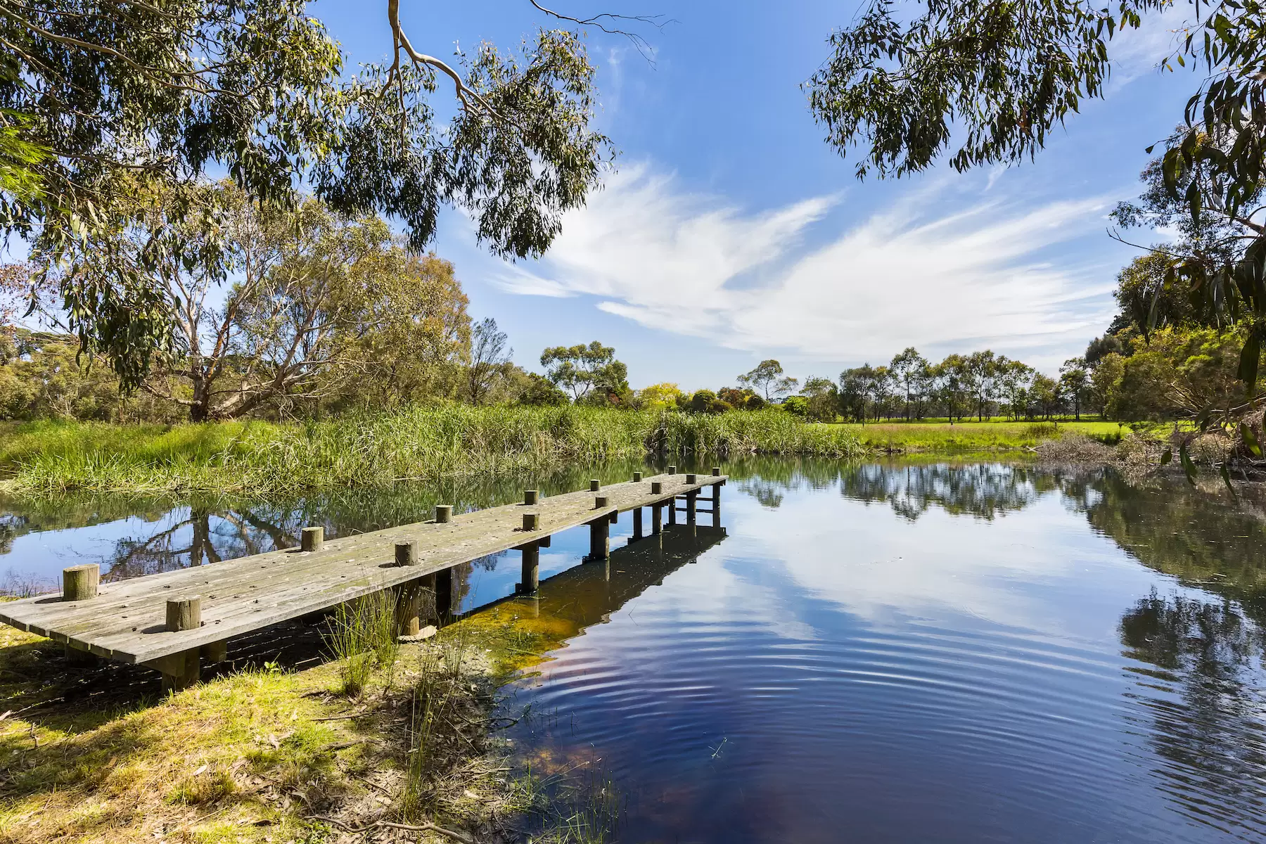 130 Hendersons Road, Bittern Sold by Melbourne Sotheby's International Realty - image 1